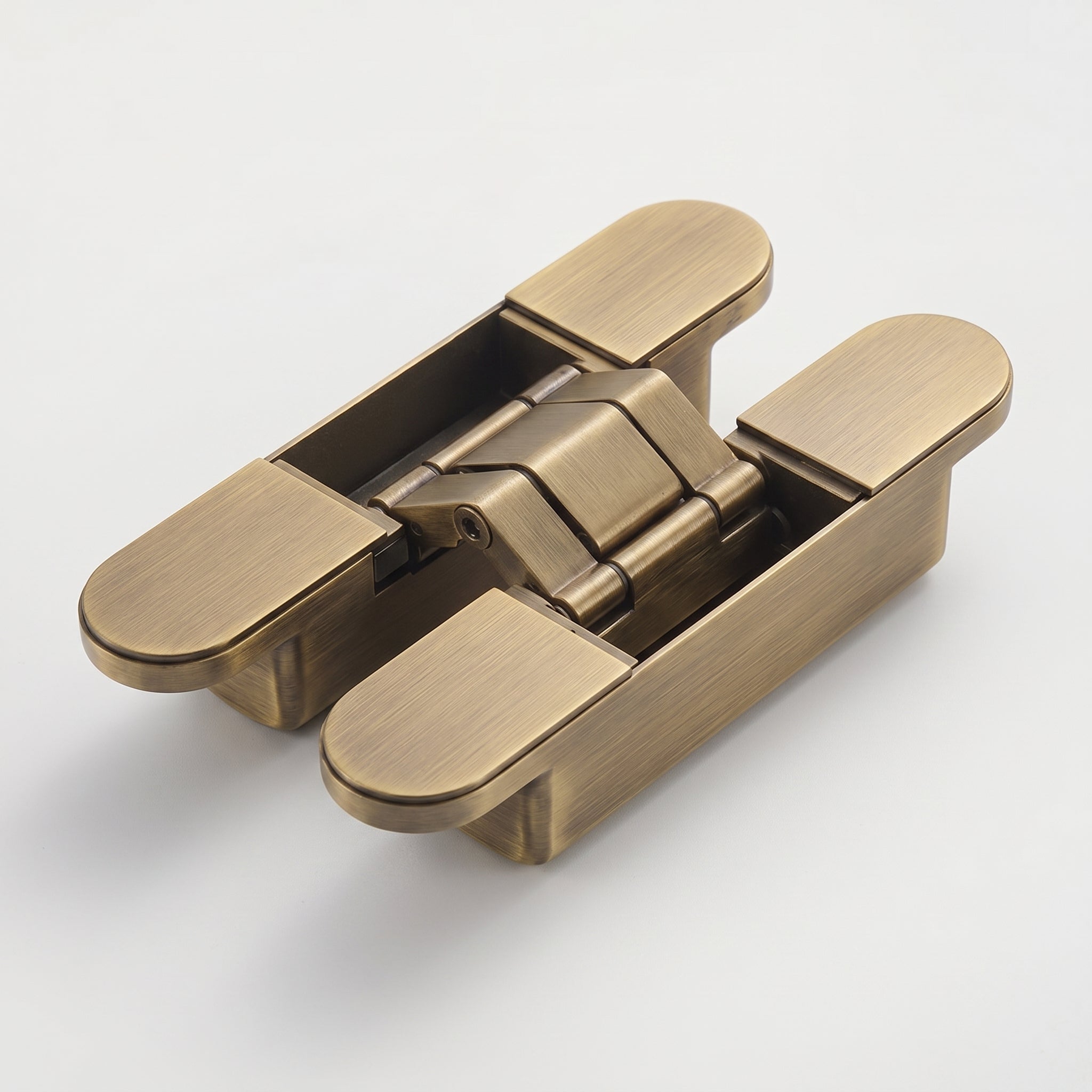 Hush Brass Door Hinge