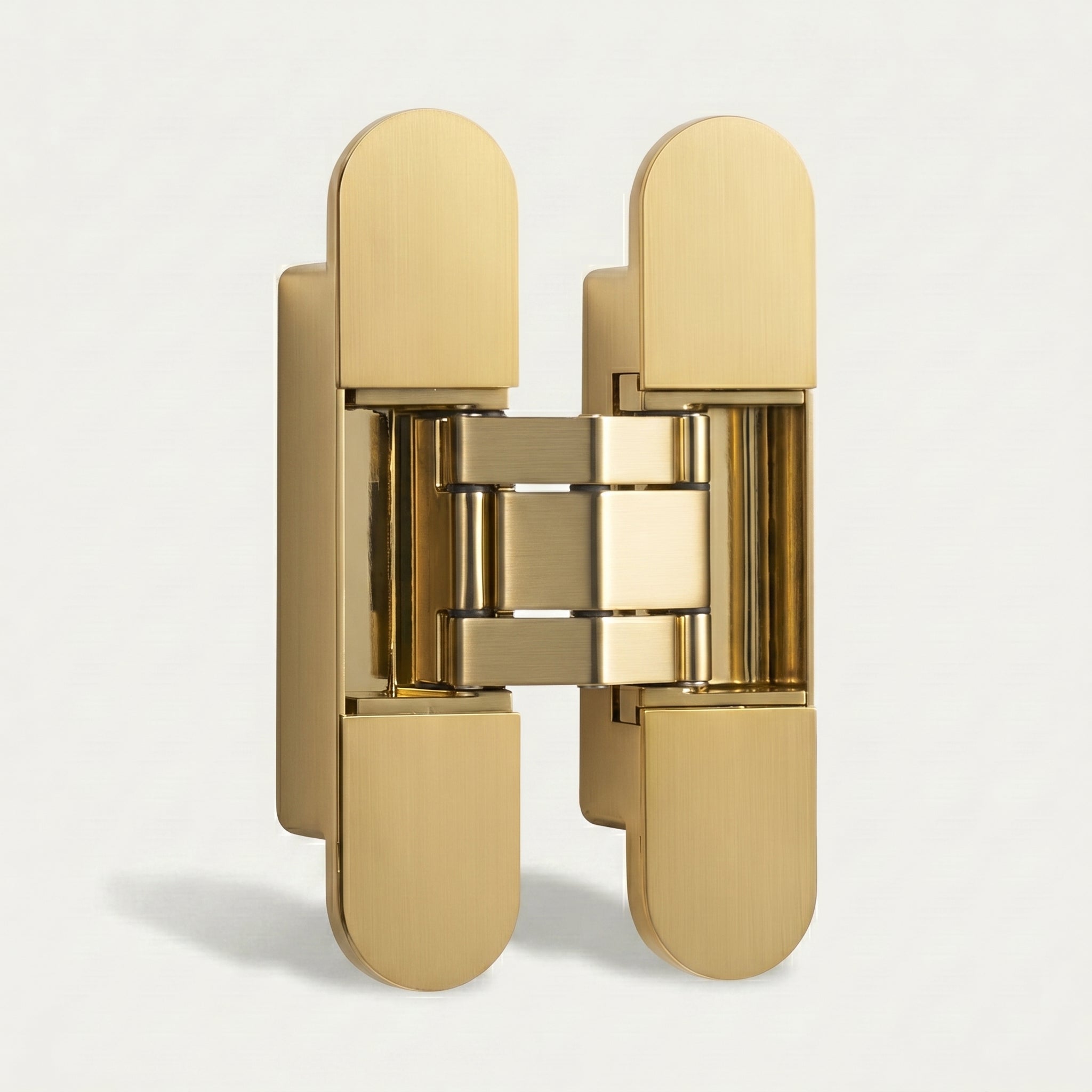 Hush Brass Door Hinge