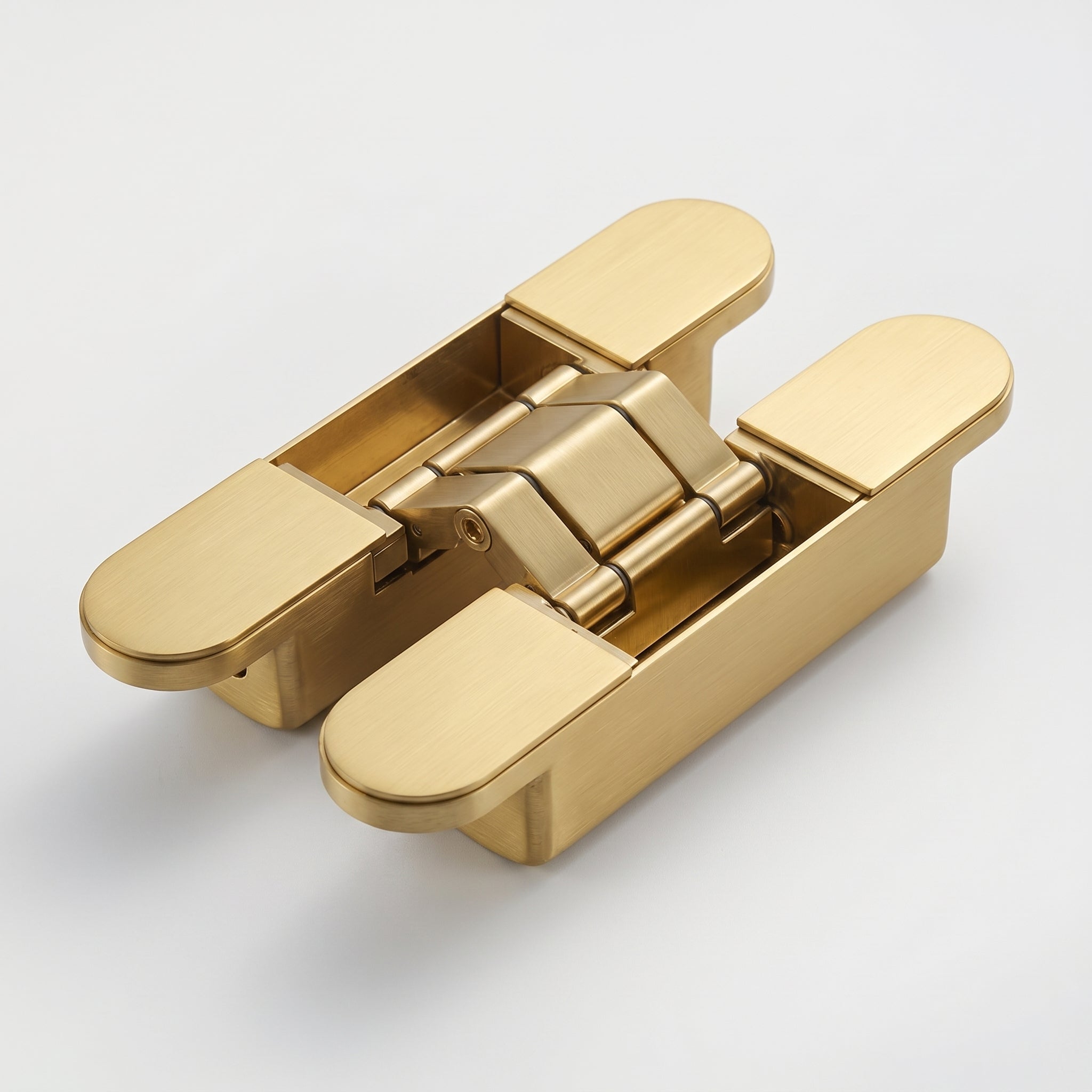 Hush Brass Door Hinge