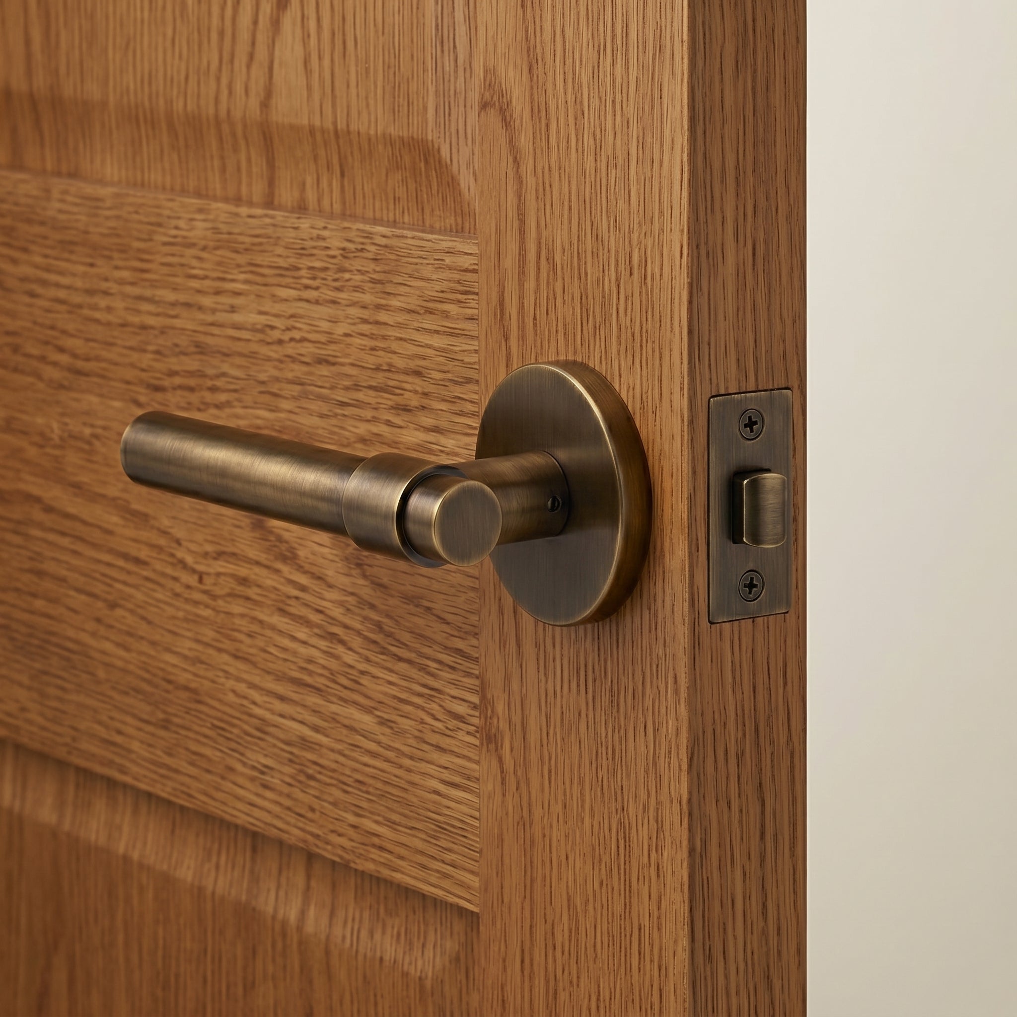 Milo Brass Door Handle