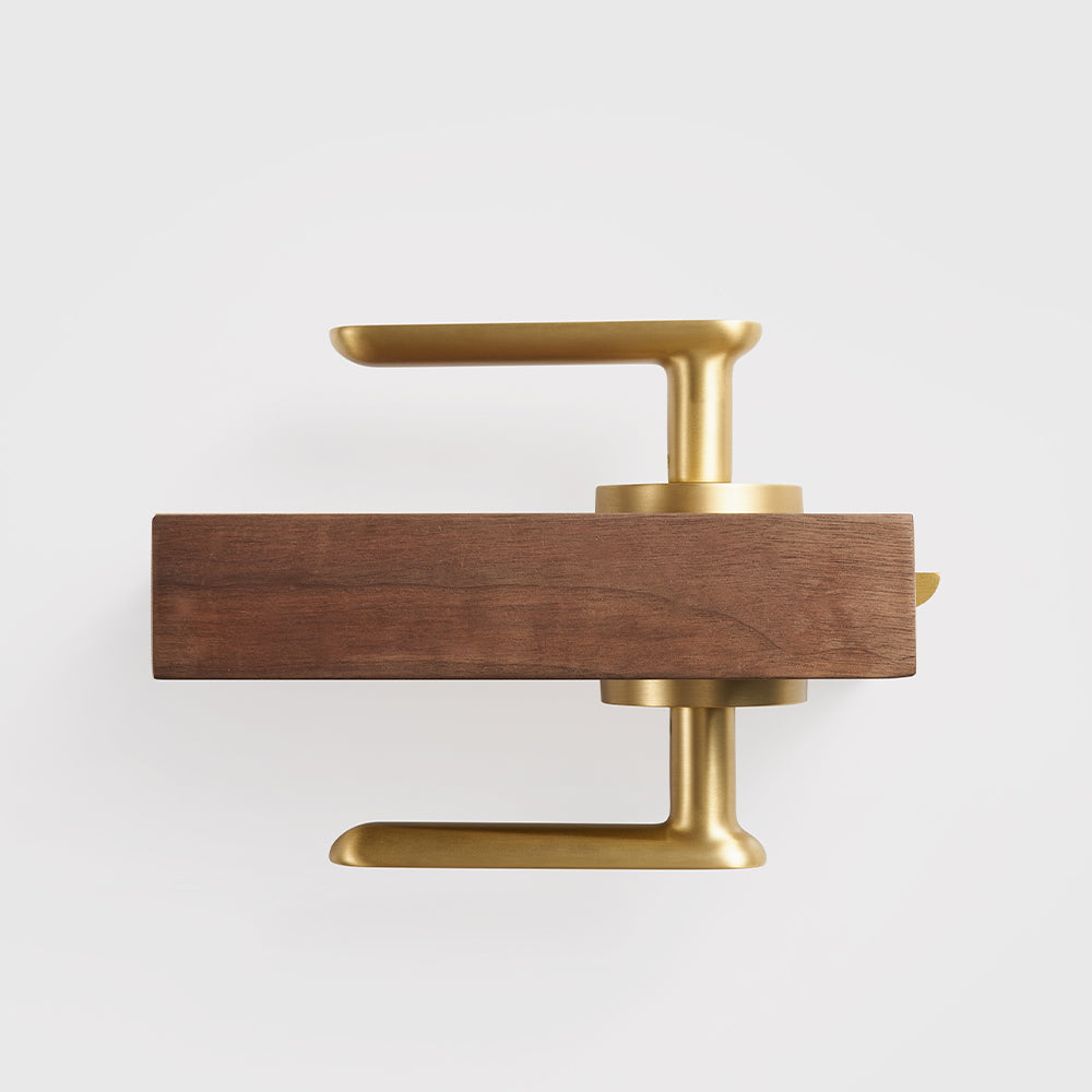 Nash Brass Door Handle