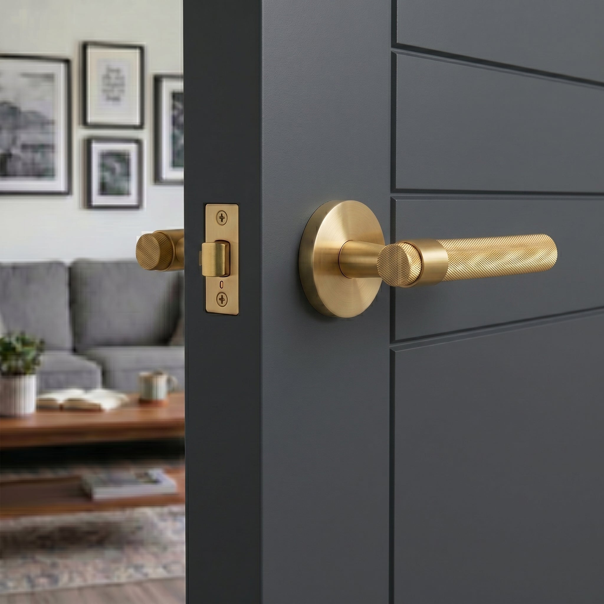 Hugo Brass Door Handle