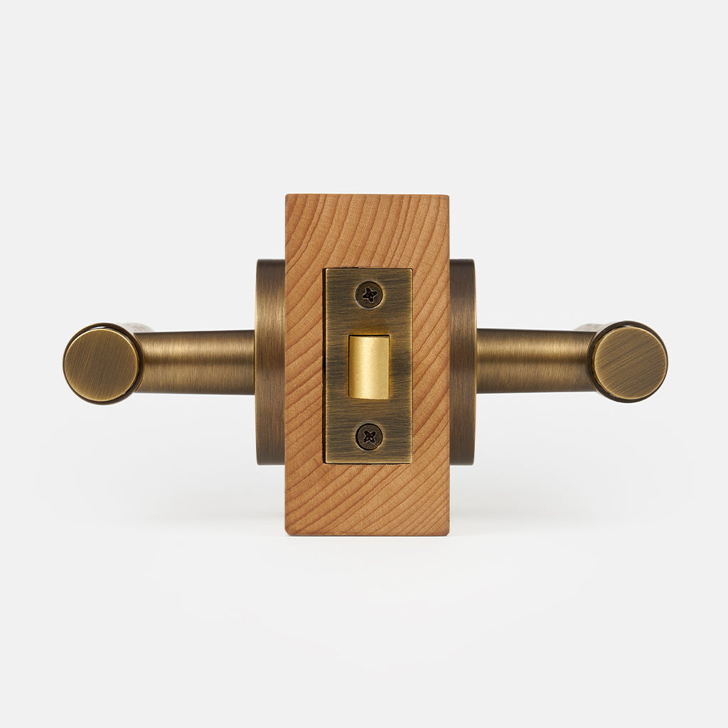 Zivo Brass Door Handle