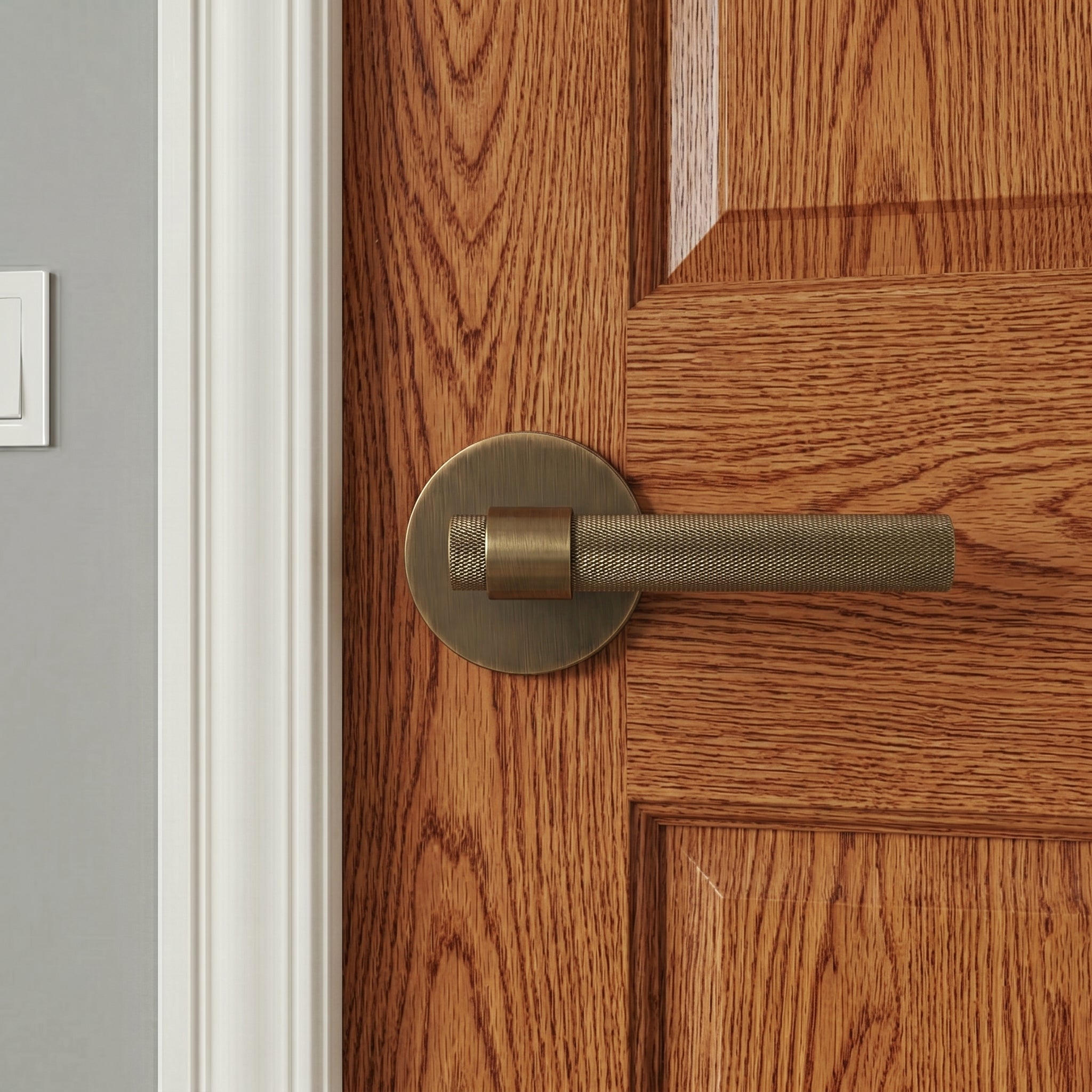 Hugo Brass Door Handle