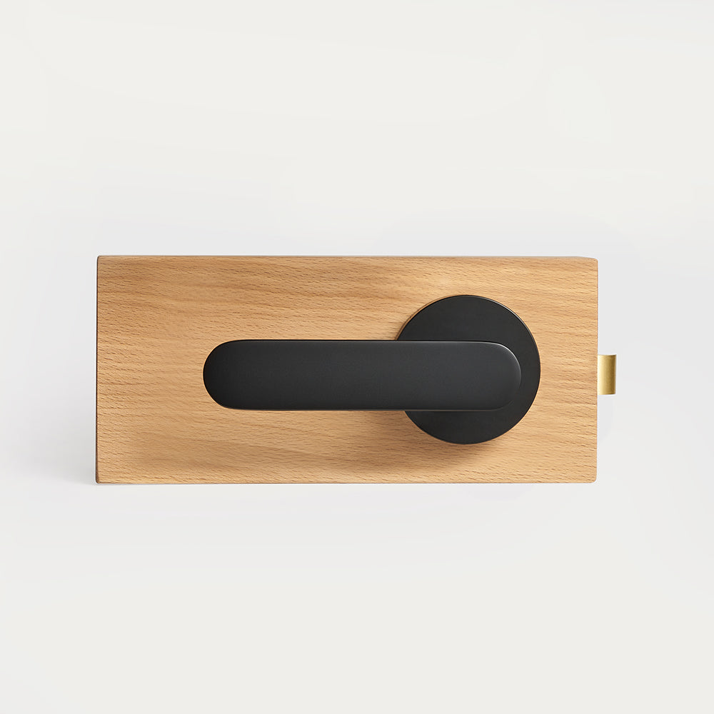 Nash Brass Door Handle