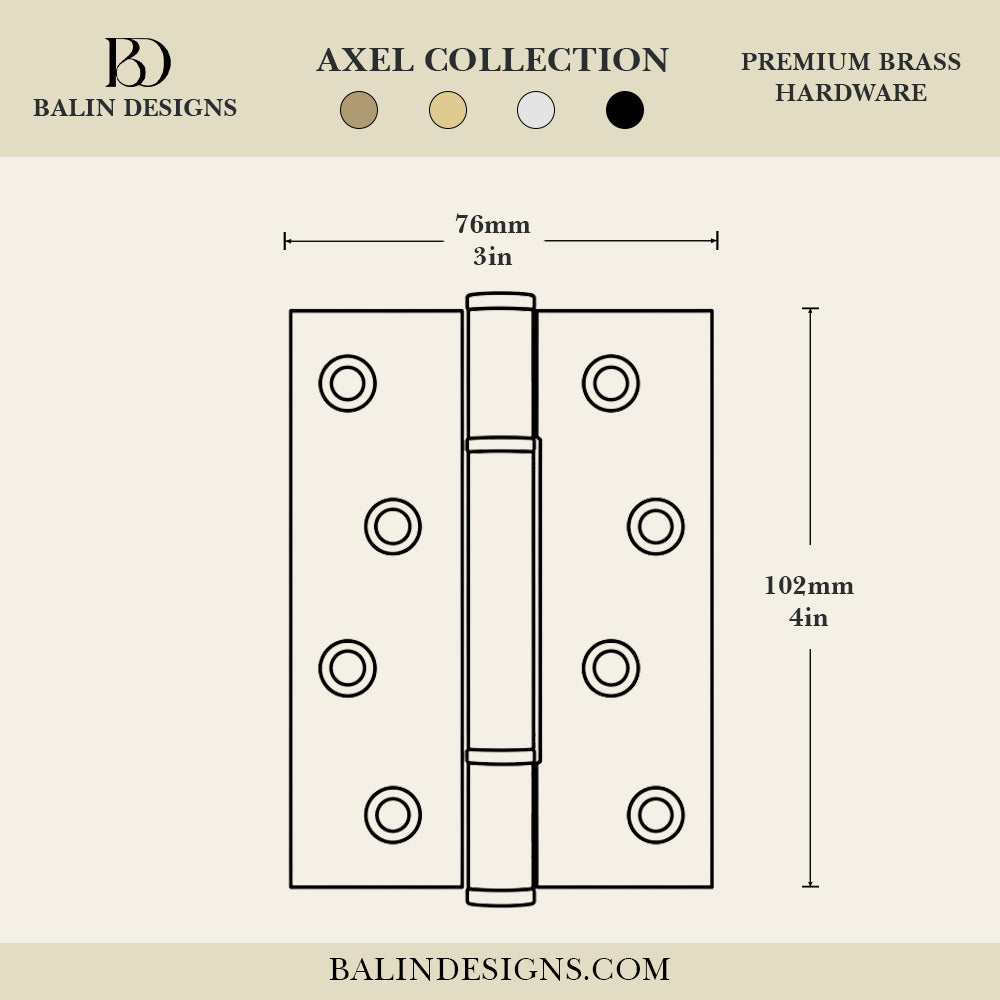 Axel Brass Door Hinge