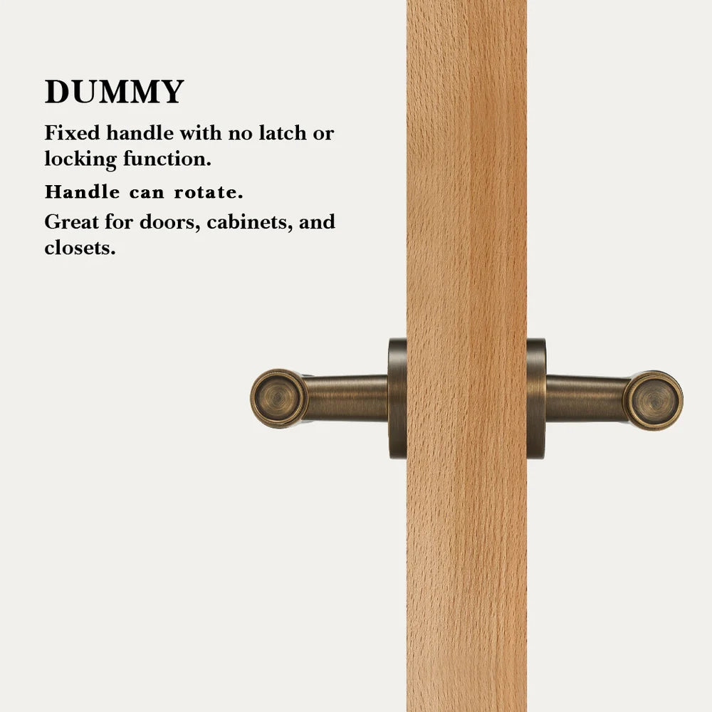 Hugo Brass Door Handle