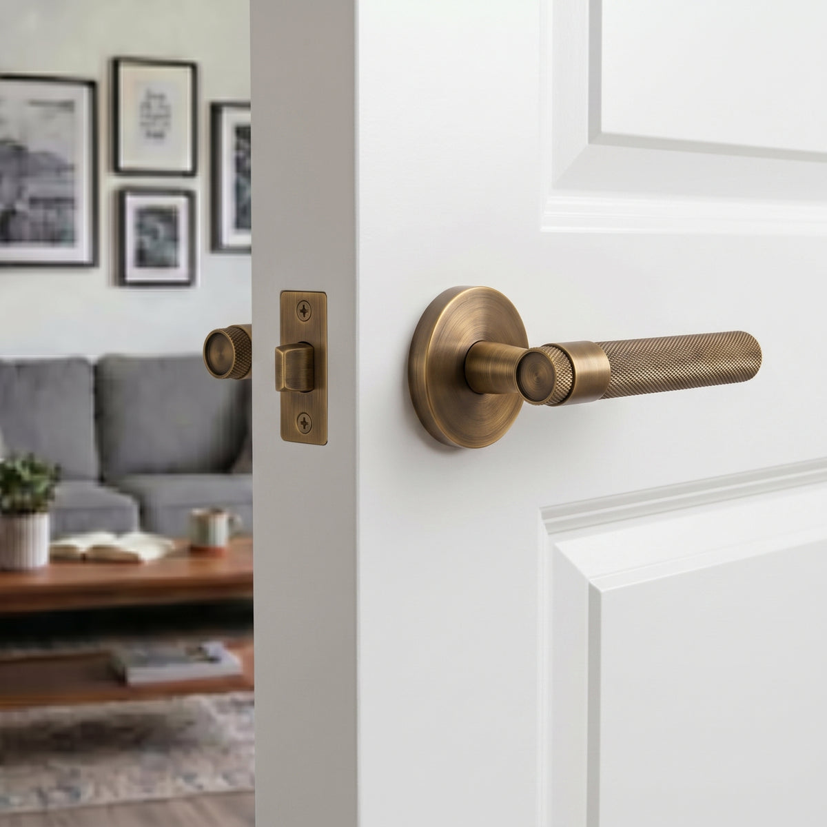 Hugo Brass Door Handle