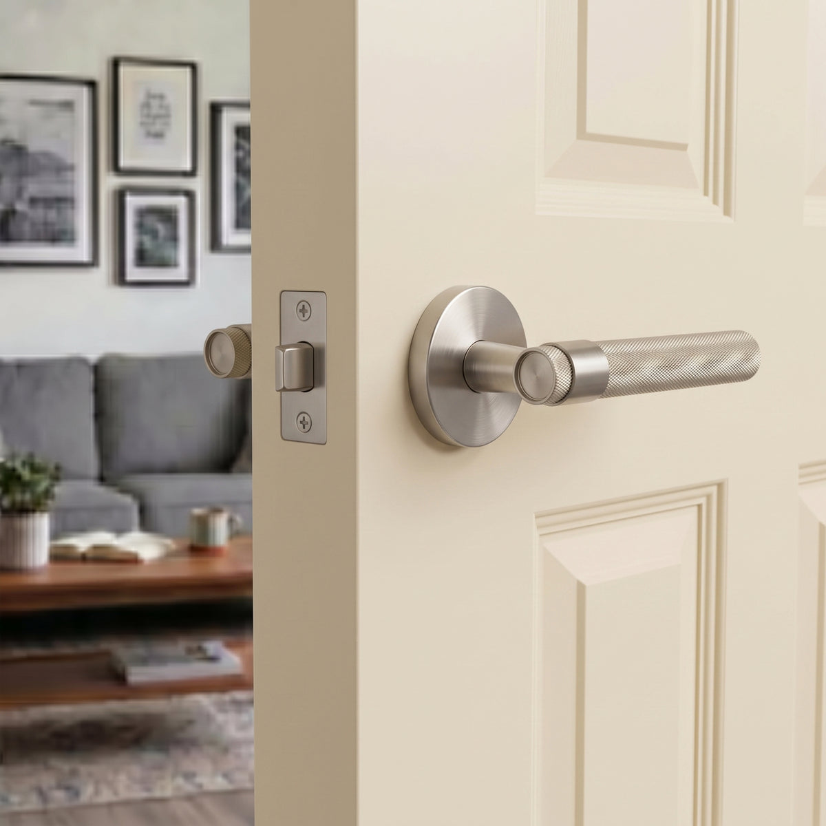 Hugo Brass Door Handle