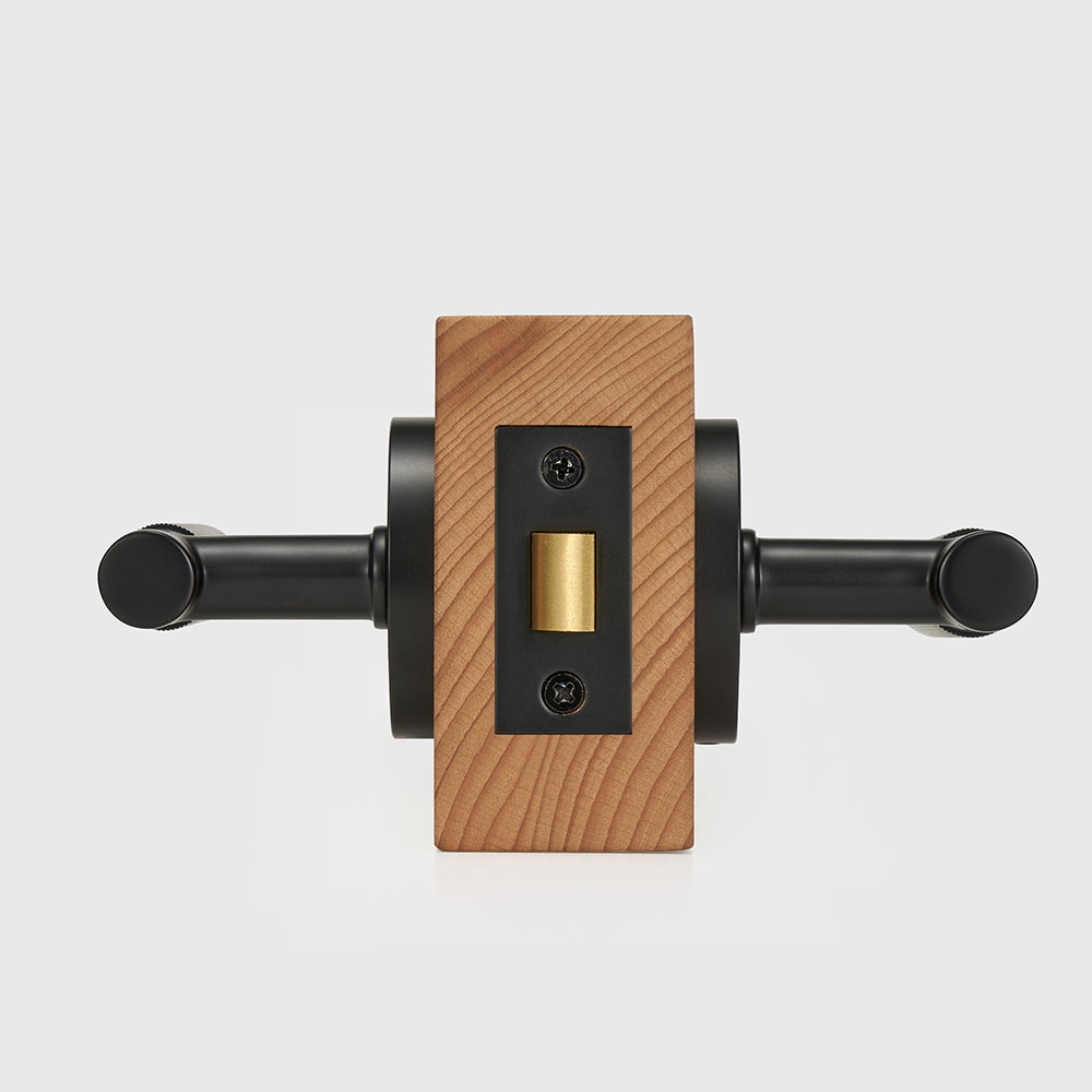 Arlo Brass Door Handle