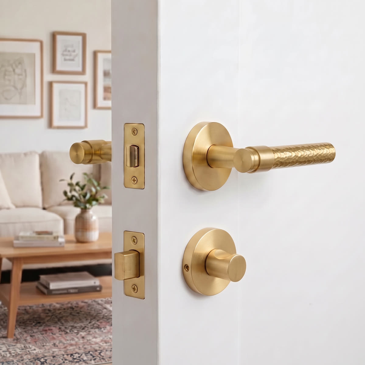 #door knob function_thumbturn-privacy-set
