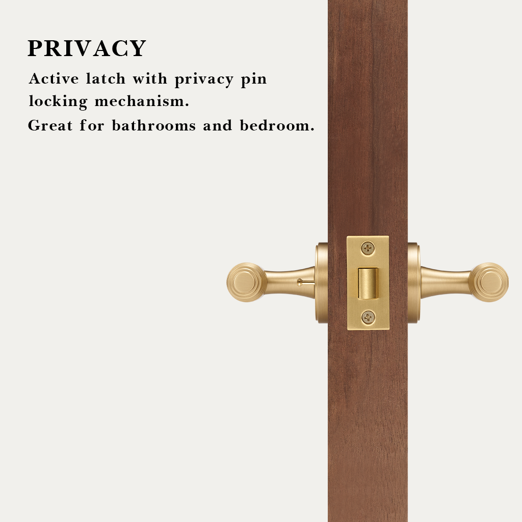 Luca Brass Door Handle
