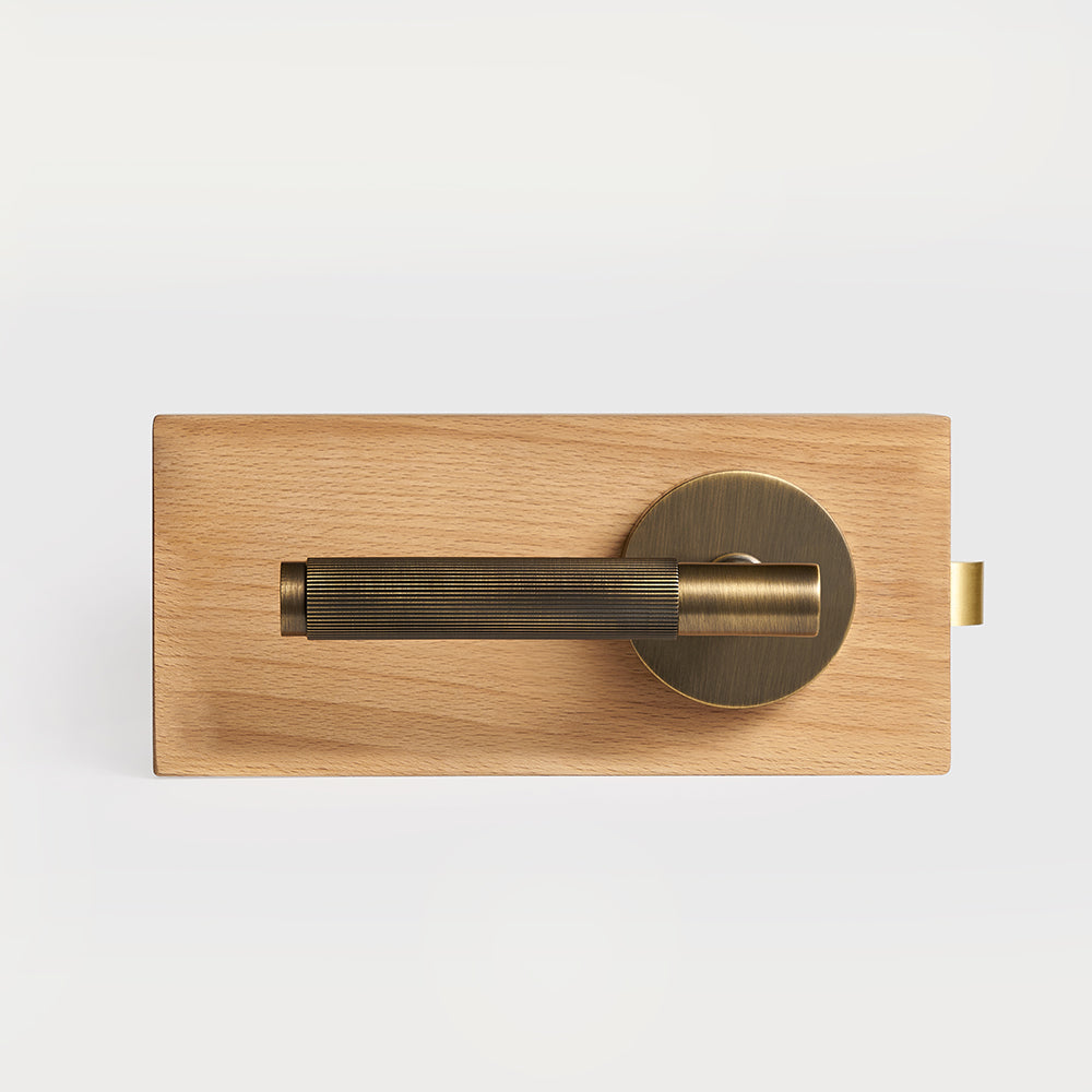 Arlo Brass Door Handle