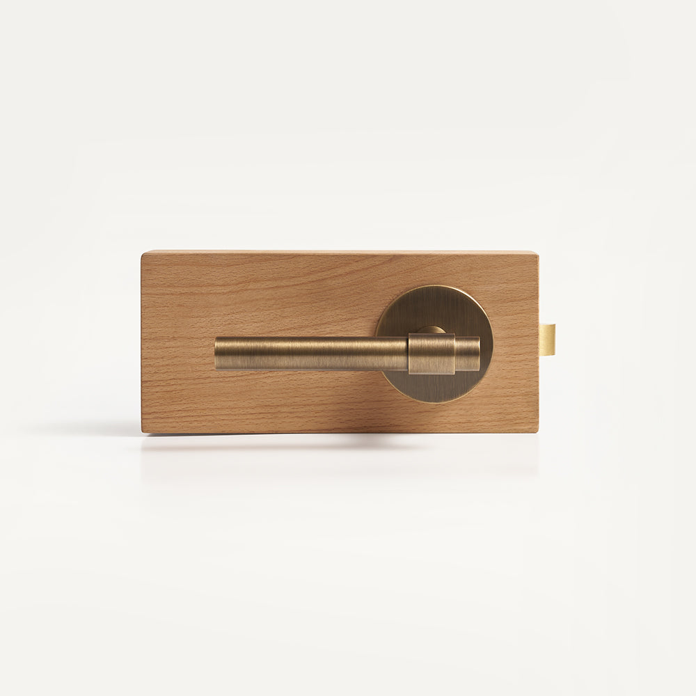 Milo Brass Door Handle