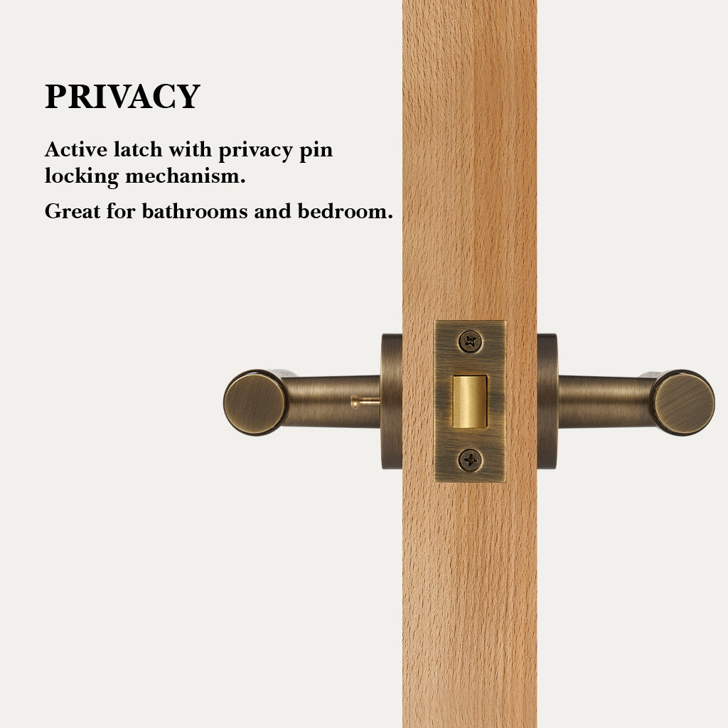 Zivo Brass Door Handle