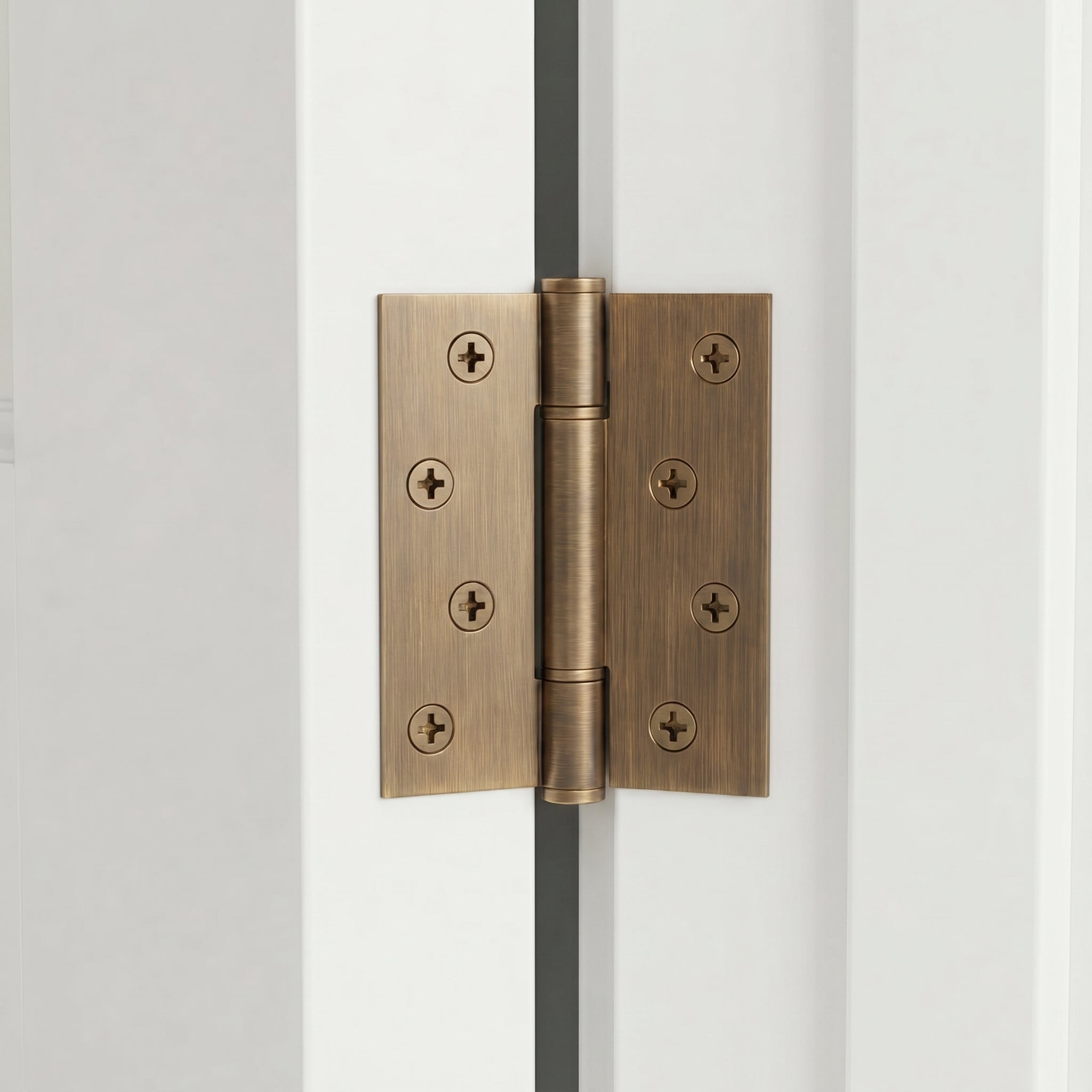 Axel Brass Door Hinge