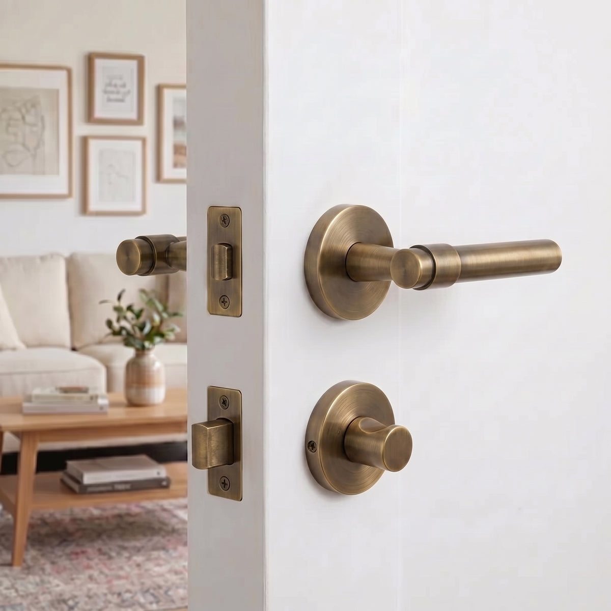 #door knob function_thumbturn-privacy-set