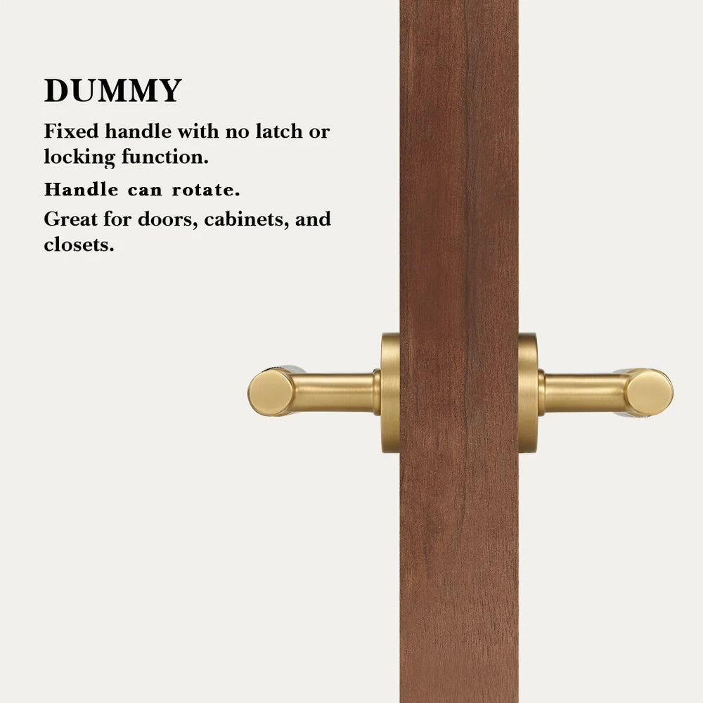 Arlo Brass Door Handle