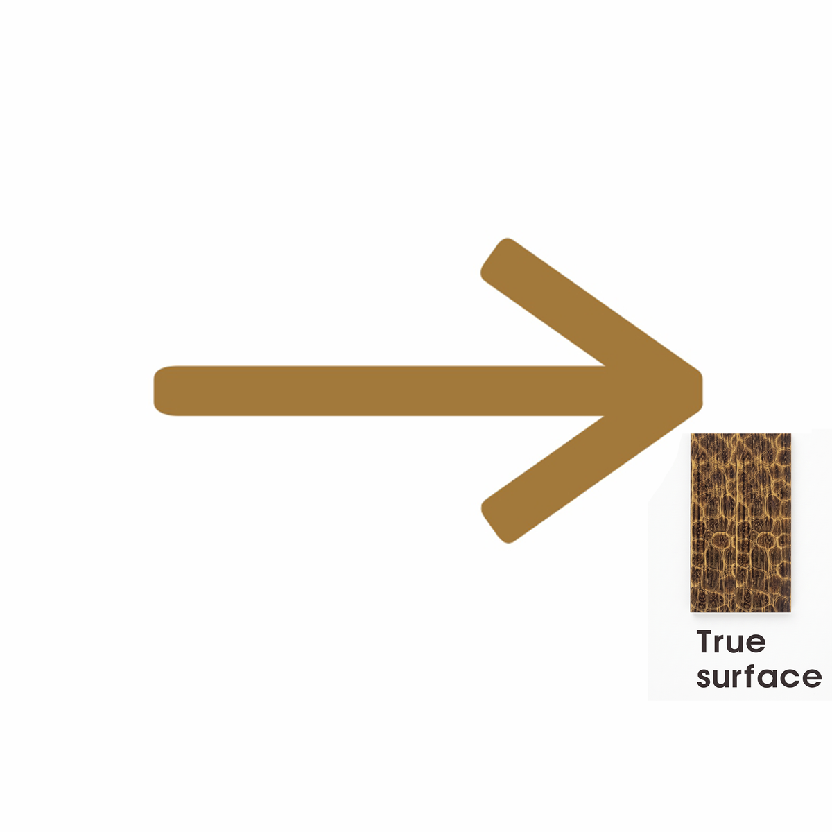 #color_antique-brass_style_hammered