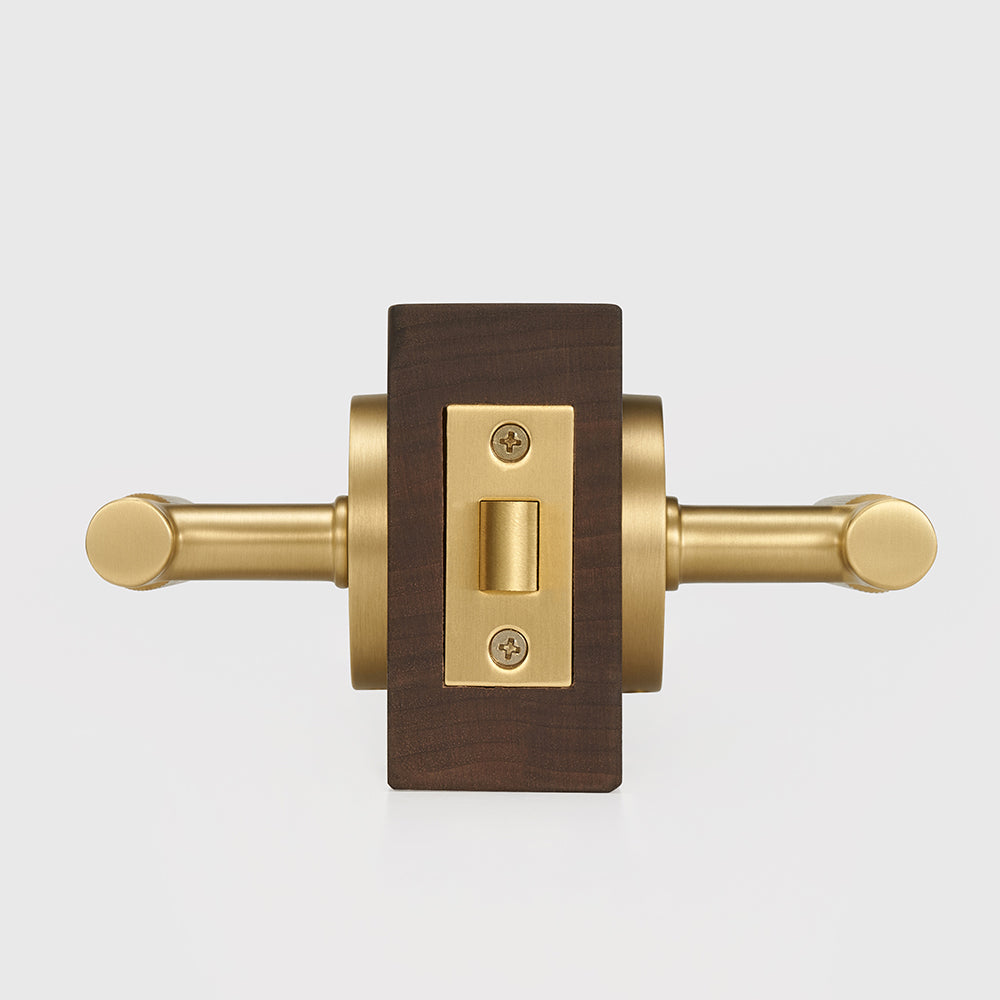 Arlo Brass Door Handle