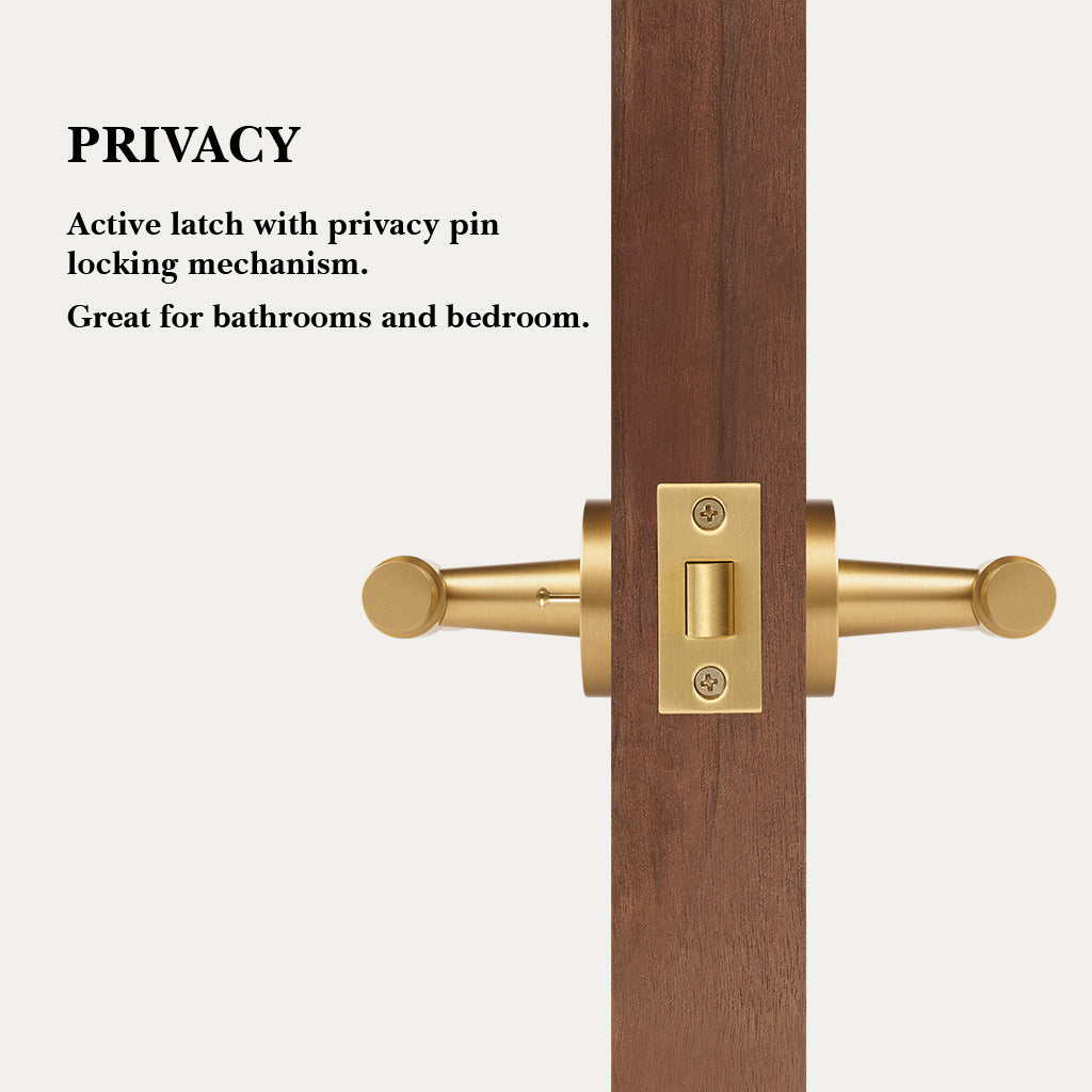 Milo Brass Door Handle