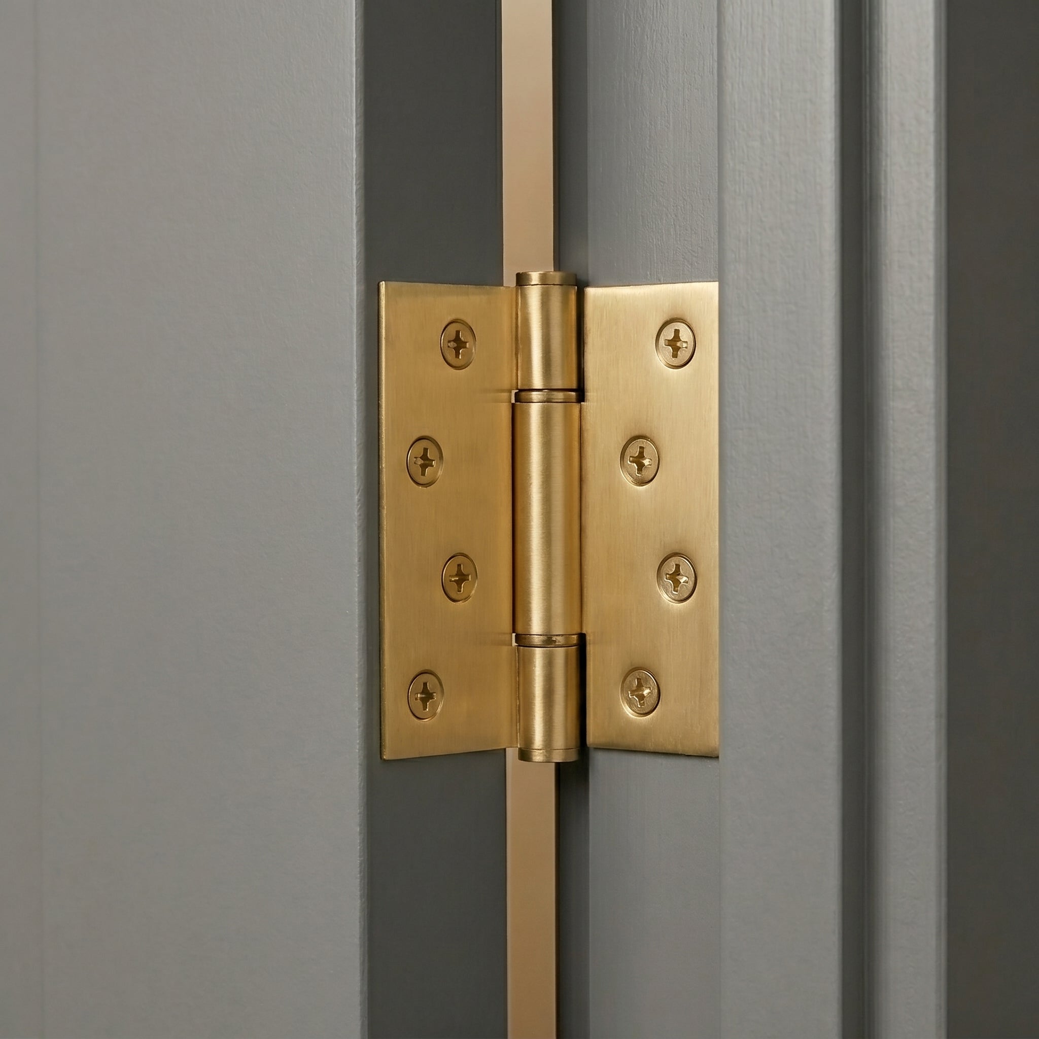 Axel Brass Door Hinge