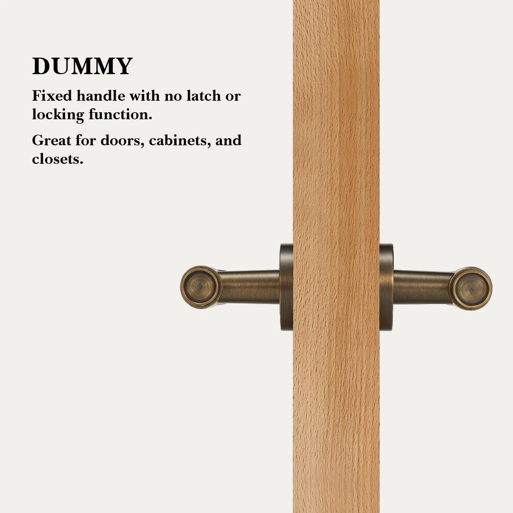 Hugo Brass Door Handle