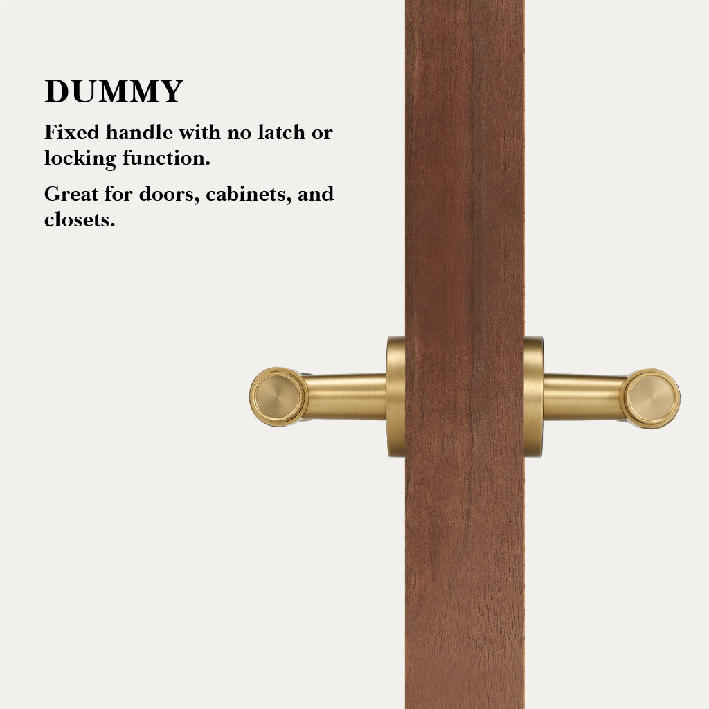 Hugo Brass Door Handle