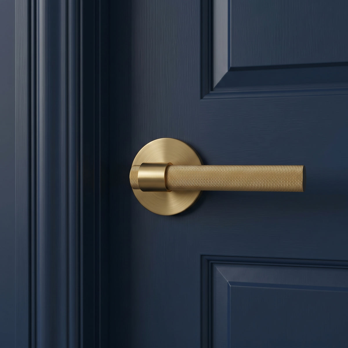Hugo Brass Door Handle