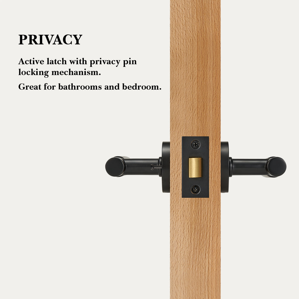 Arlo Brass Door Handle