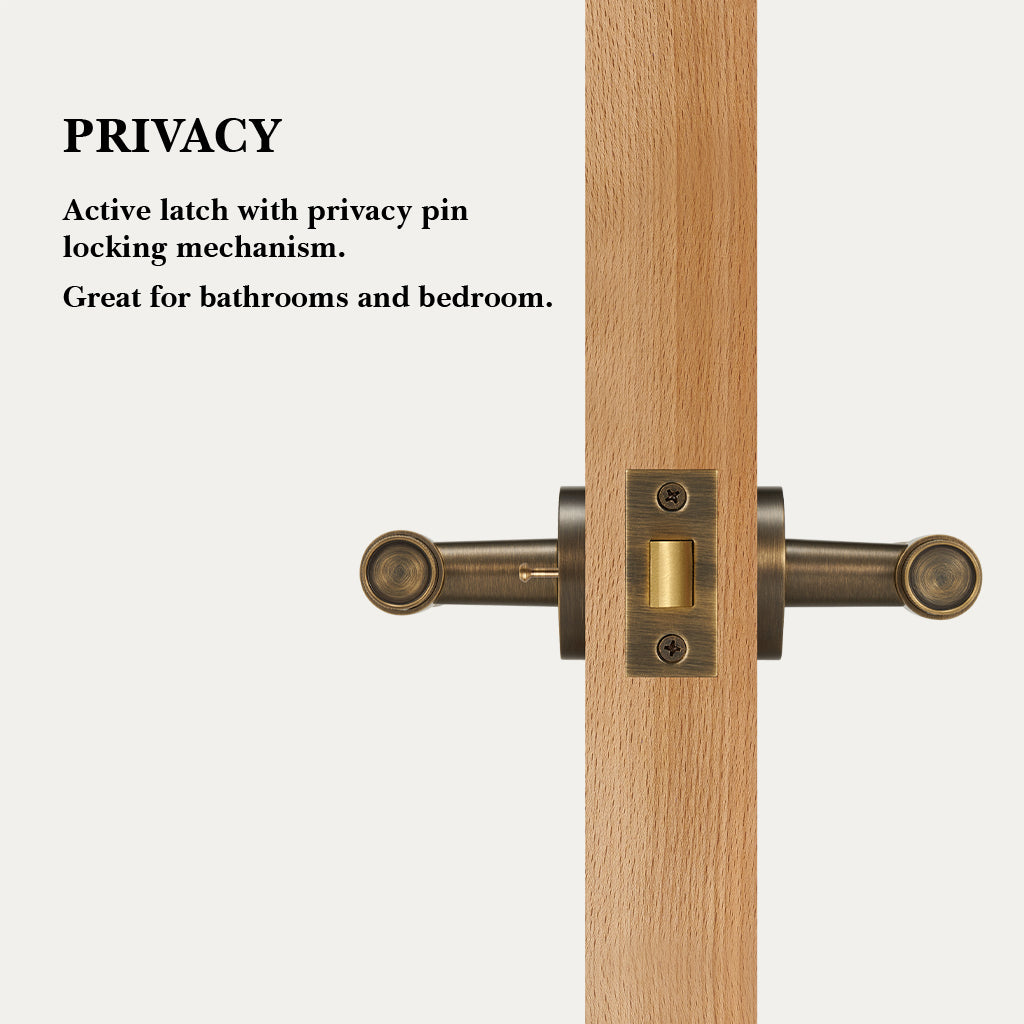 Hugo Brass Door Handle