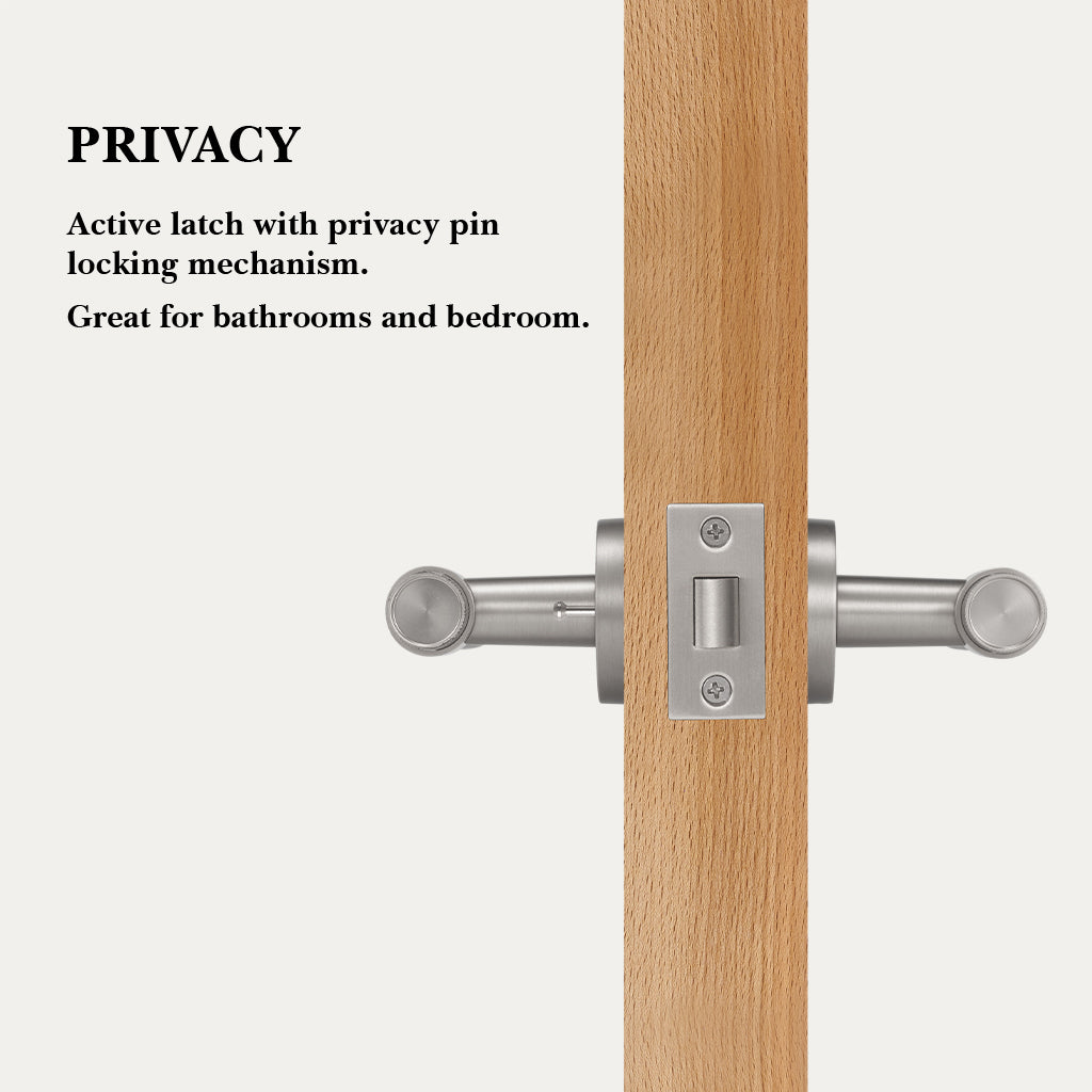 Hugo Brass Door Handle