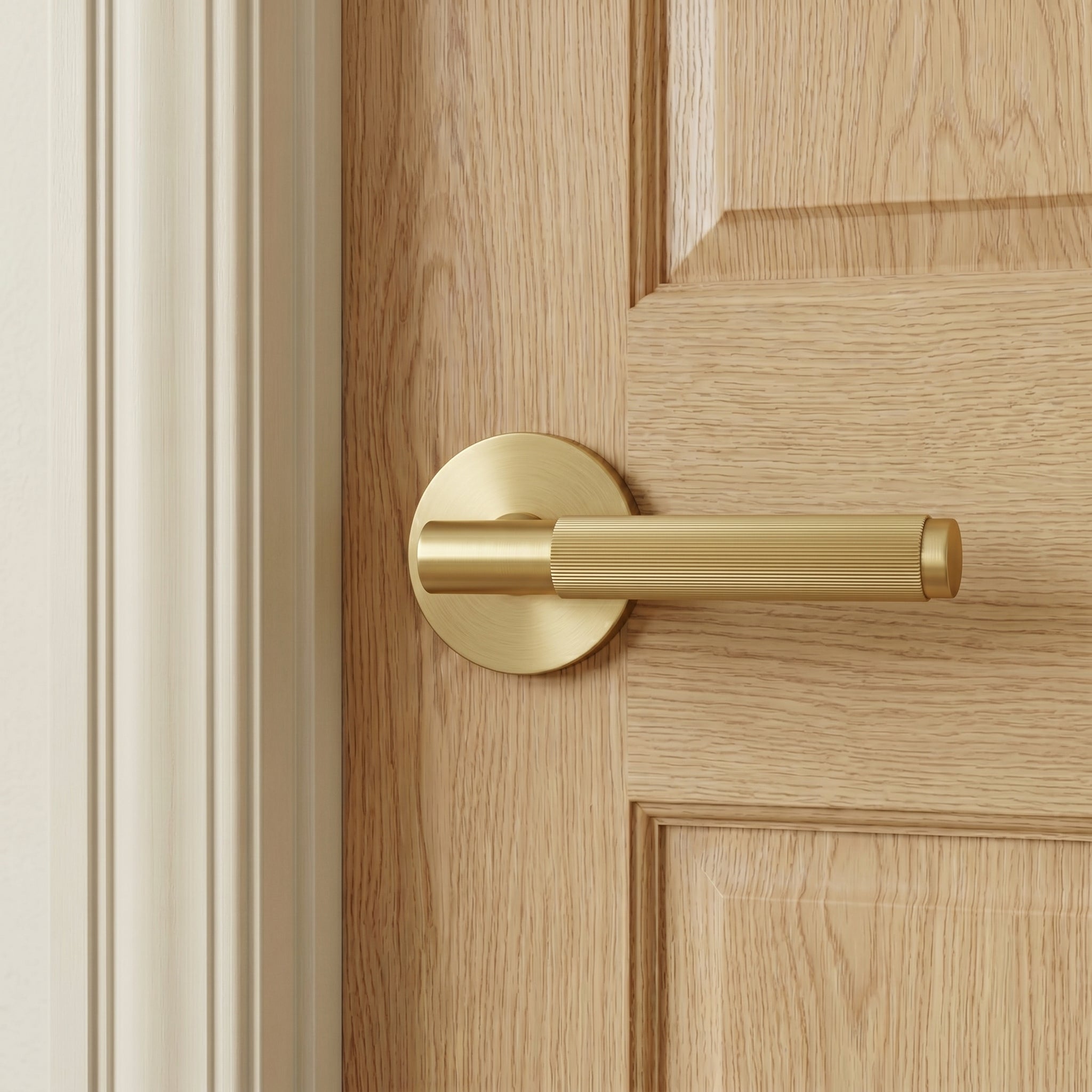 Arlo Brass Door Handle