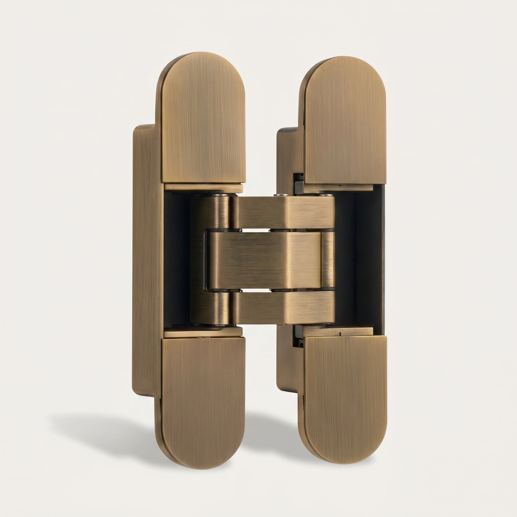 Hush Brass Door Hinge