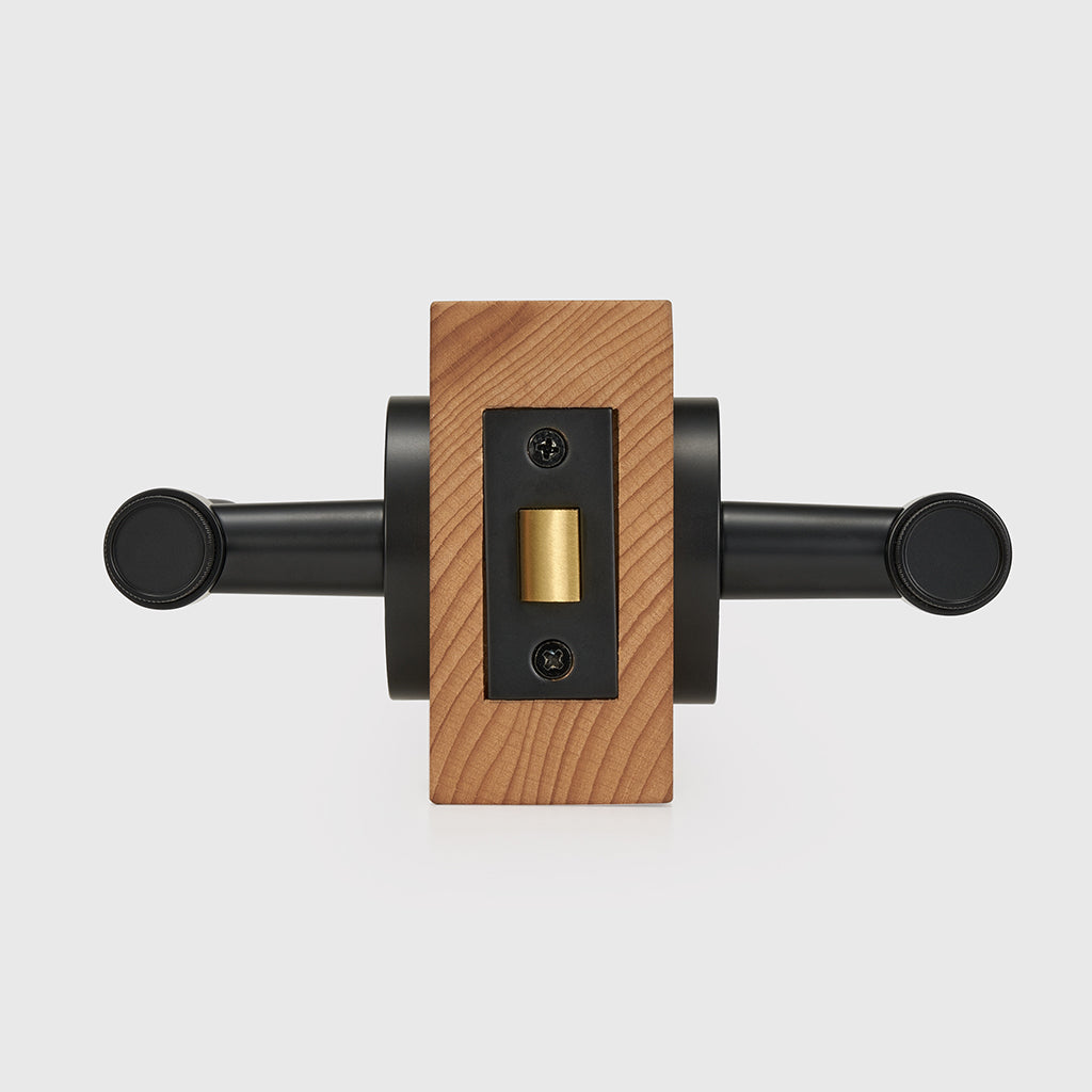 Hugo Brass Door Handle