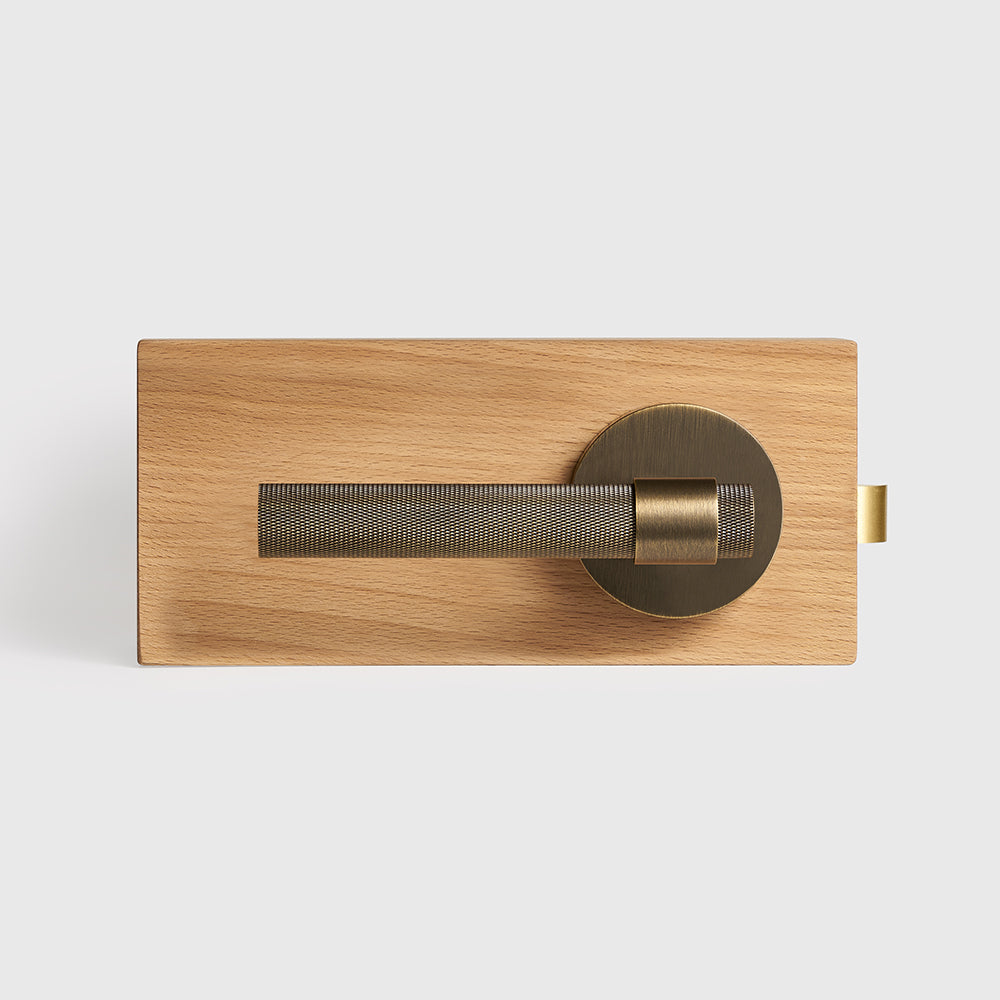 Hugo Brass Door Handle