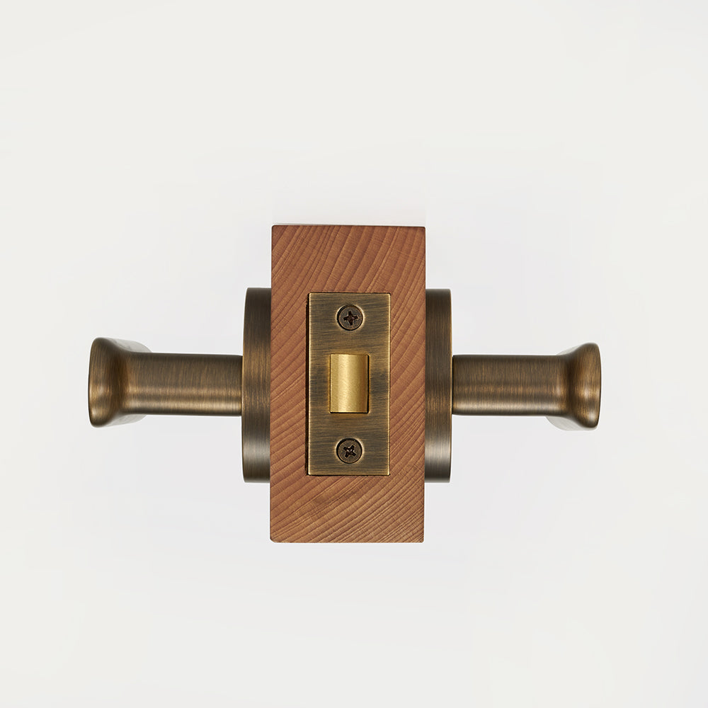 Nash Brass Door Handle