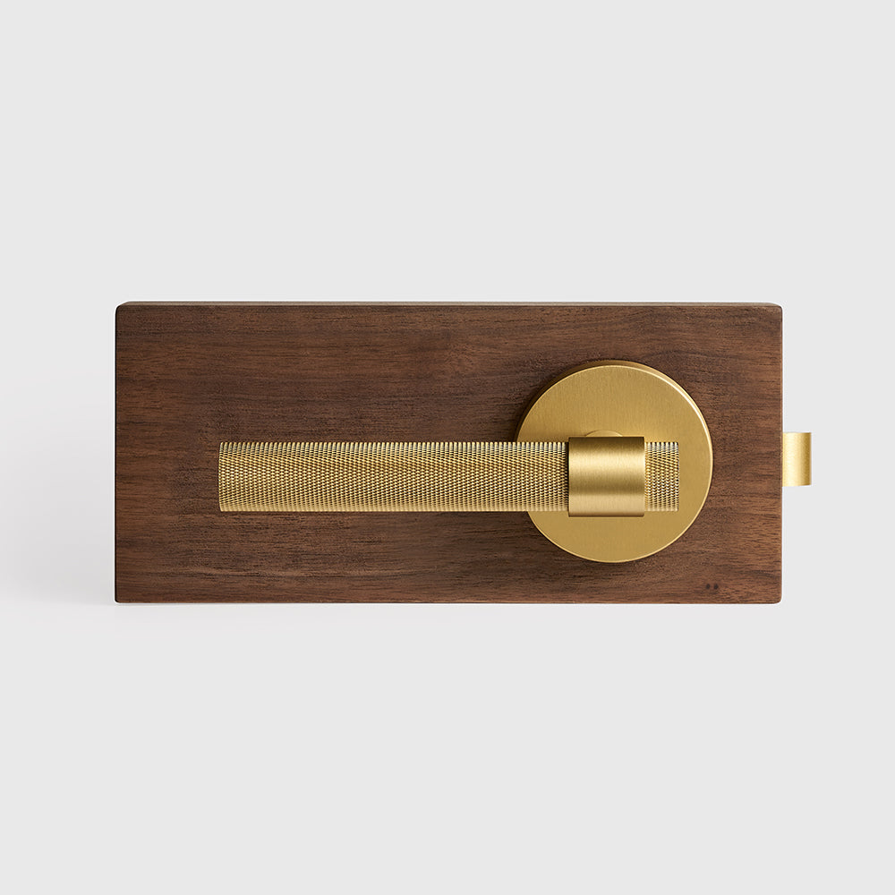 Hugo Brass Door Handle