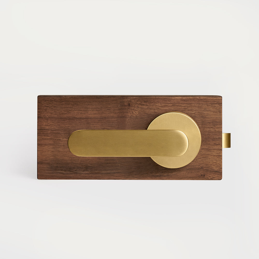 Nash Brass Door Handle