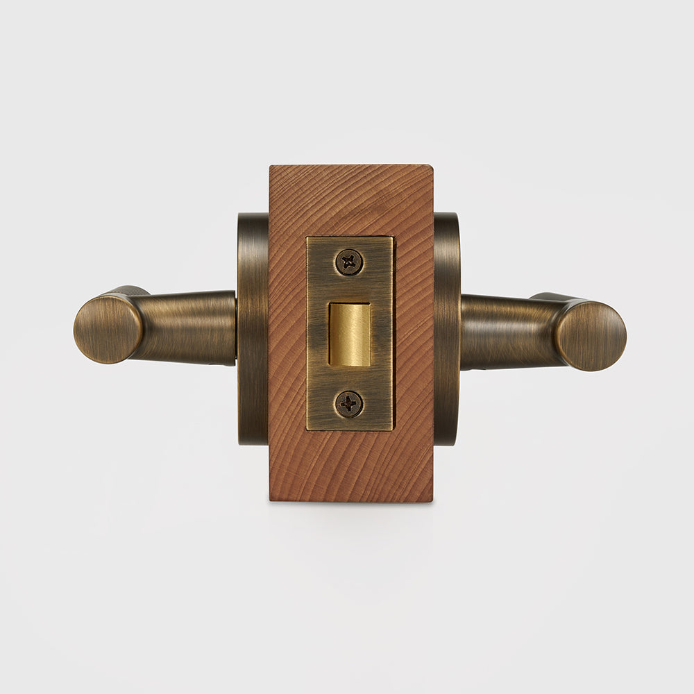 Finn Brass Door Handle