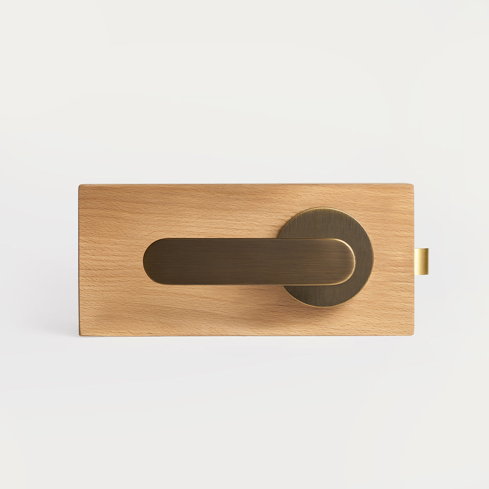 Nash Brass Door Handle