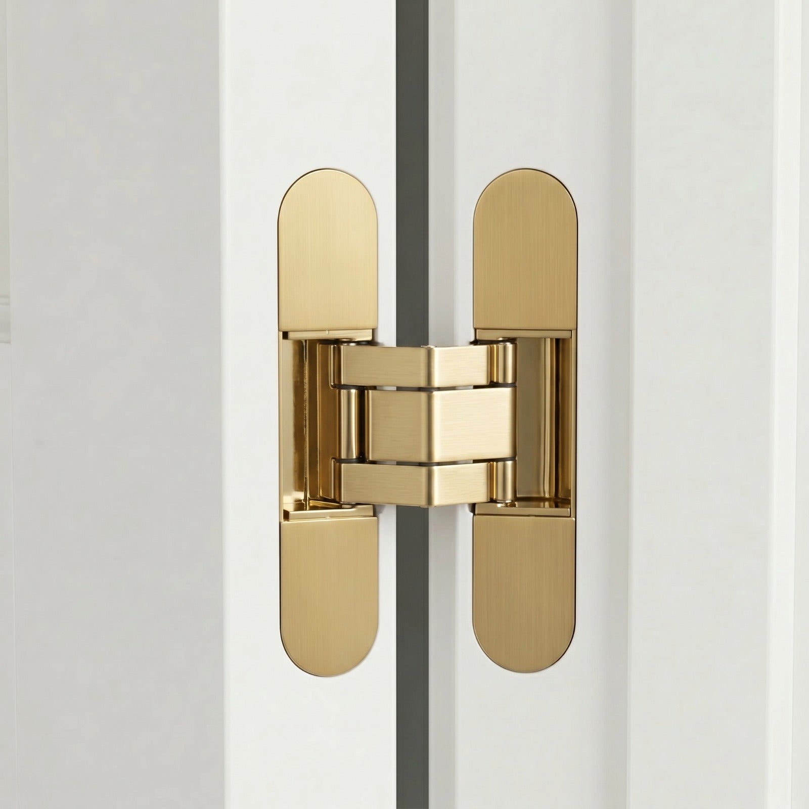 Hush Brass Door Hinge