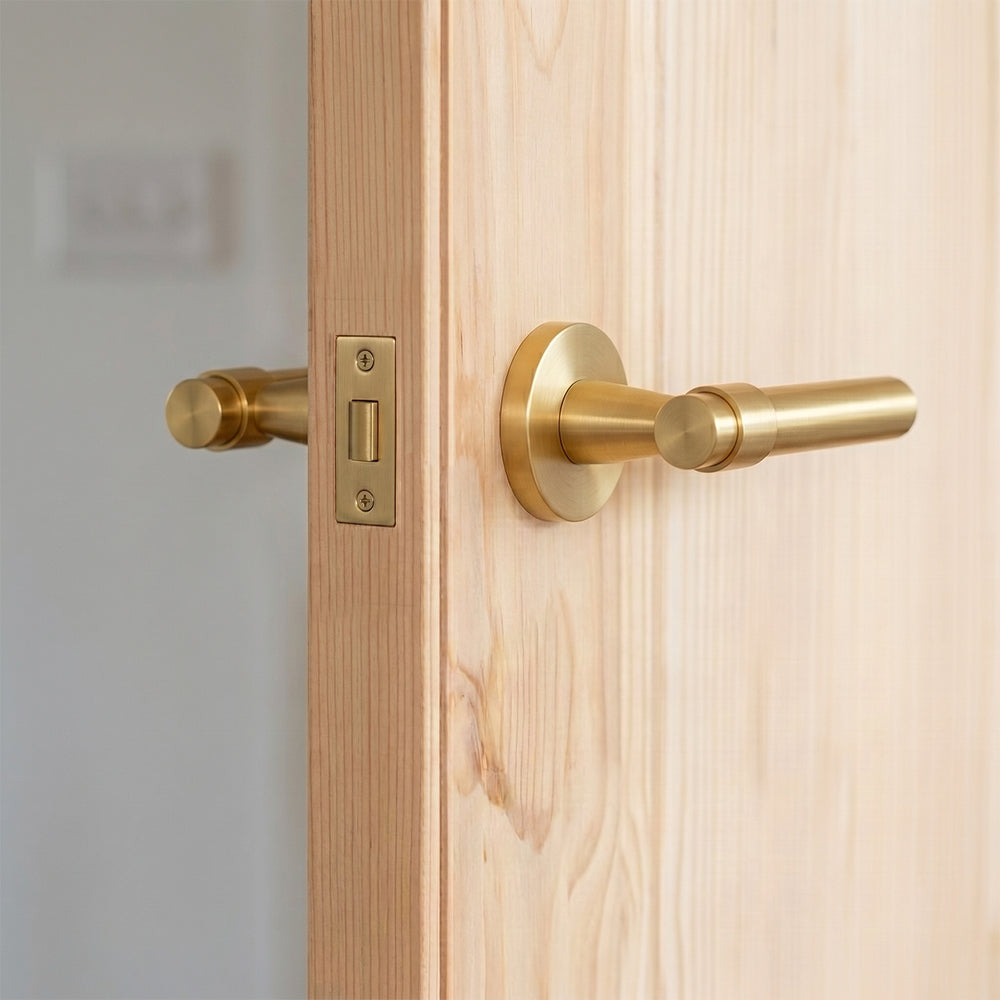 Milo Brass Door Handle