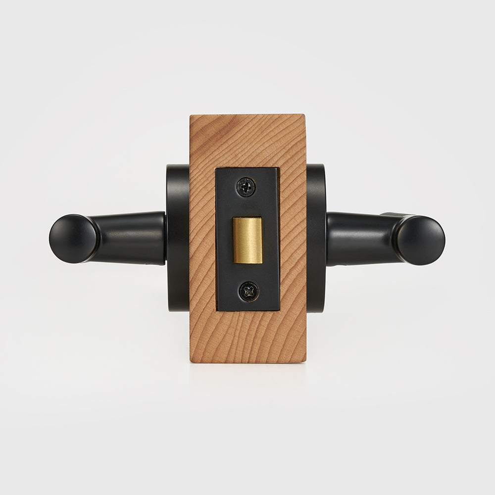 Finn Brass Door Handle