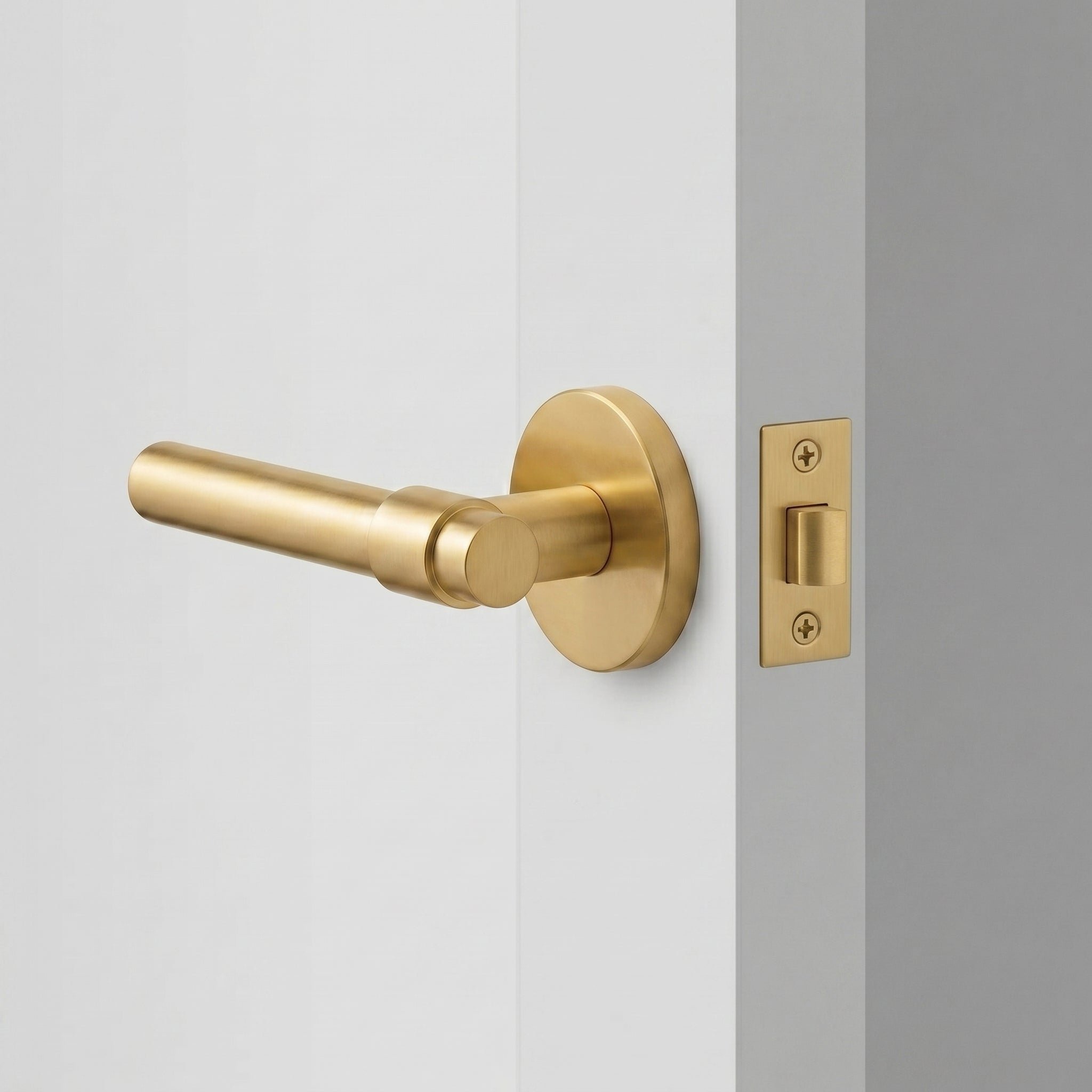 Milo Brass Door Handle
