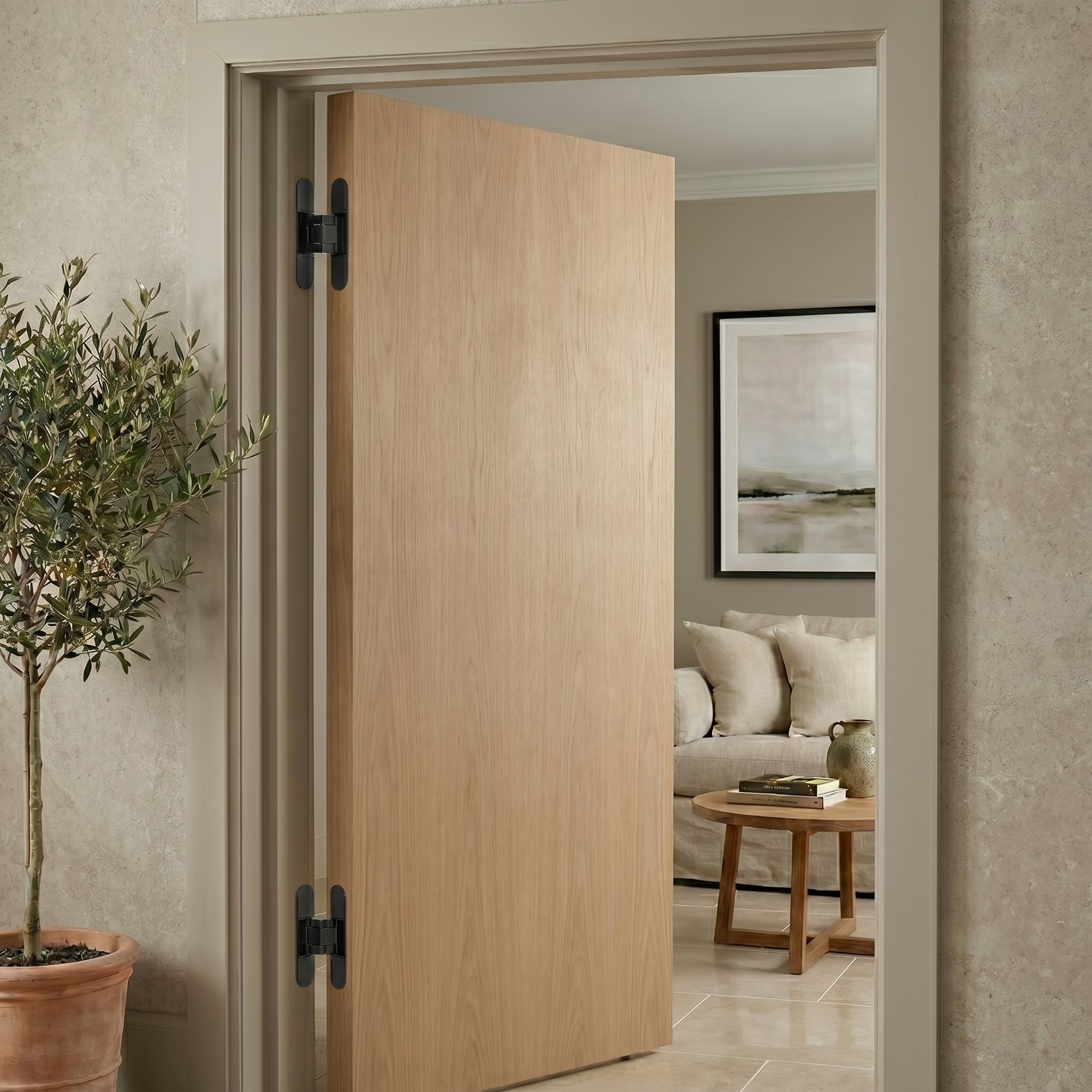 Hush Brass Door Hinge