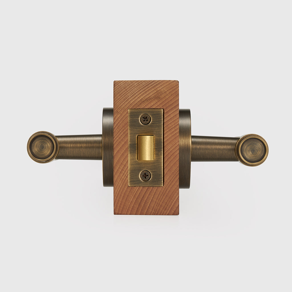 Hugo Brass Door Handle