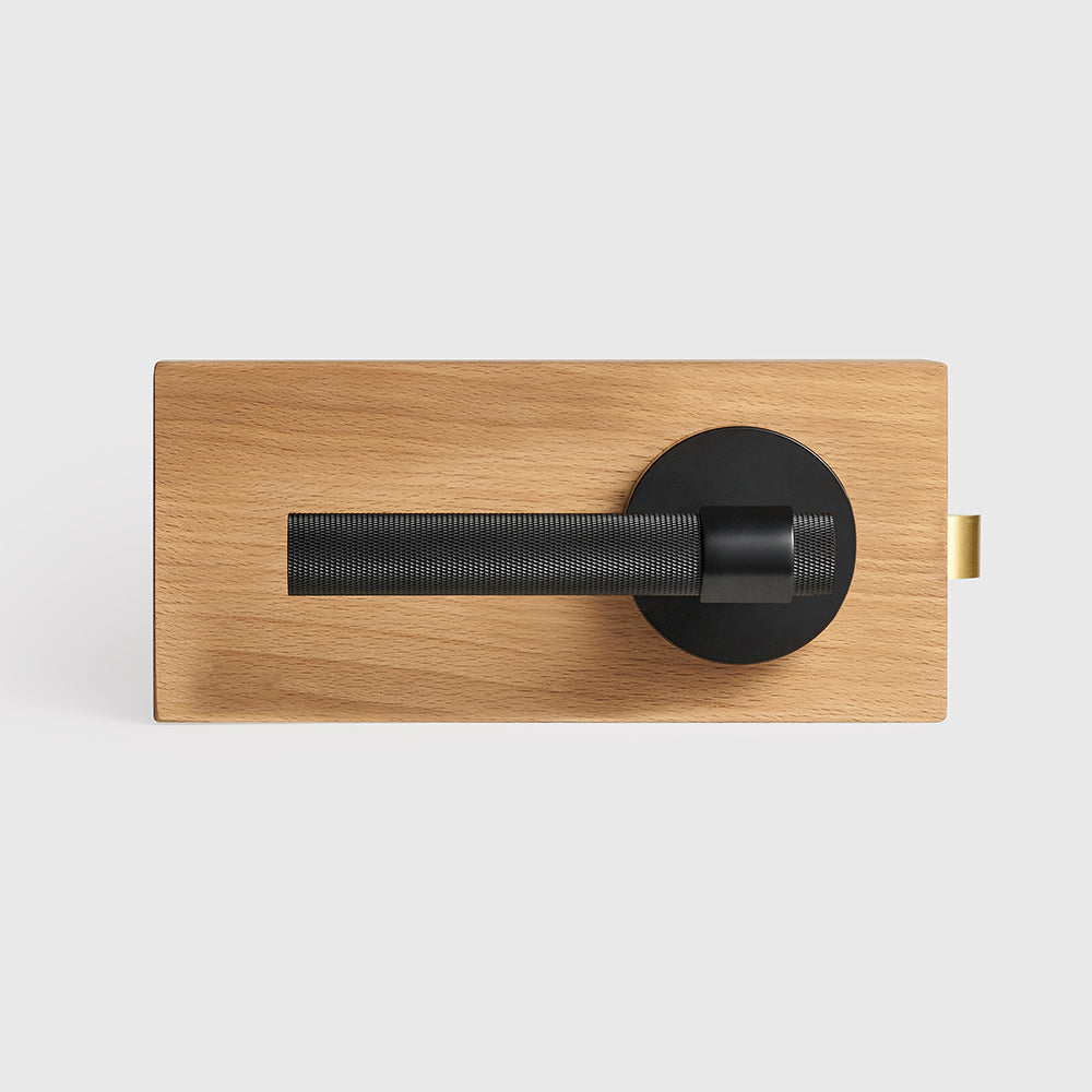 Hugo Brass Door Handle