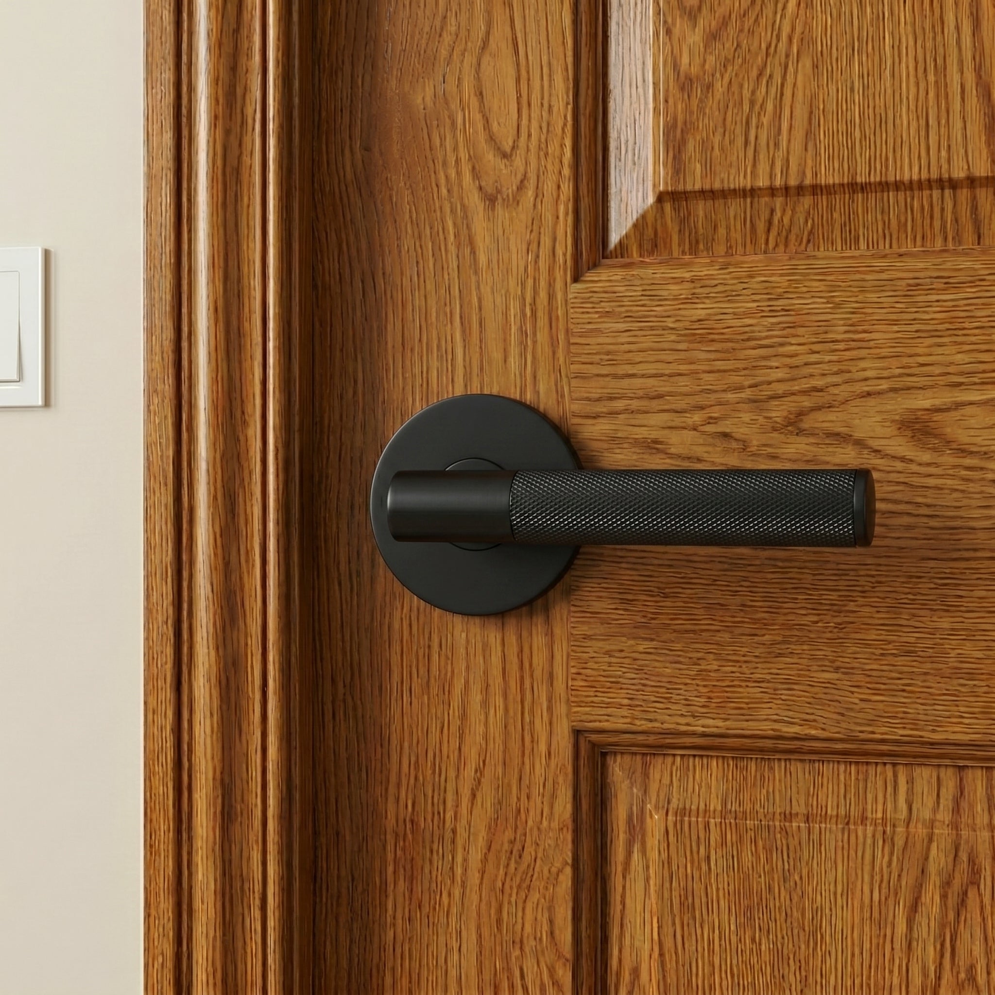 Finn Brass Door Handle