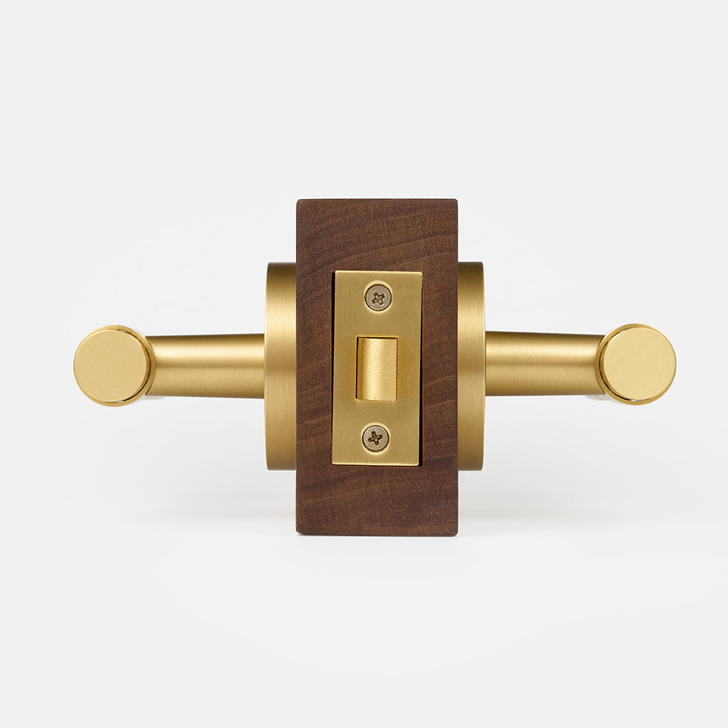 Zivo Brass Door Handle